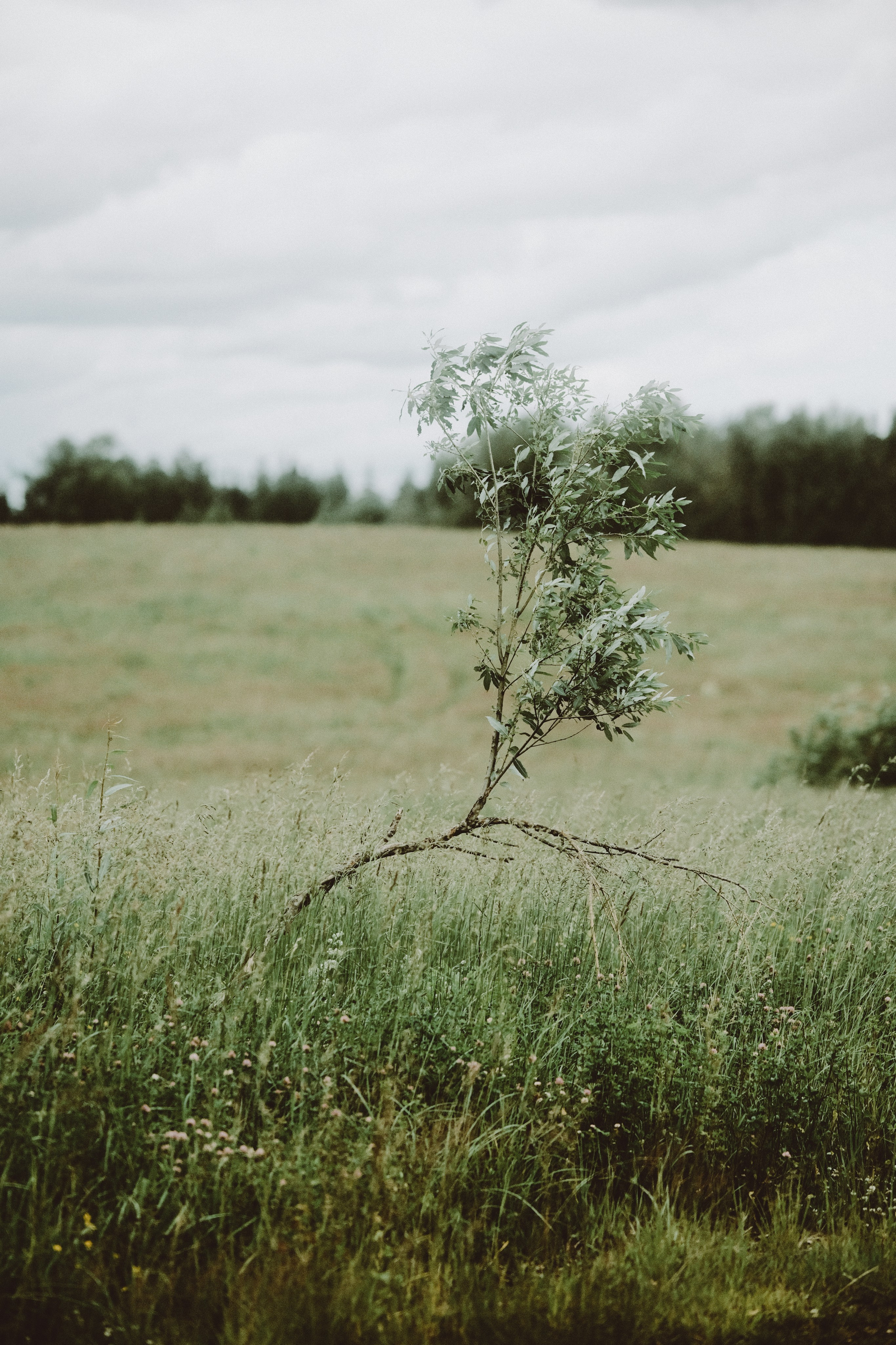 Пейзажи. Фотограф-любитель из Кирова Андрей Погребняк