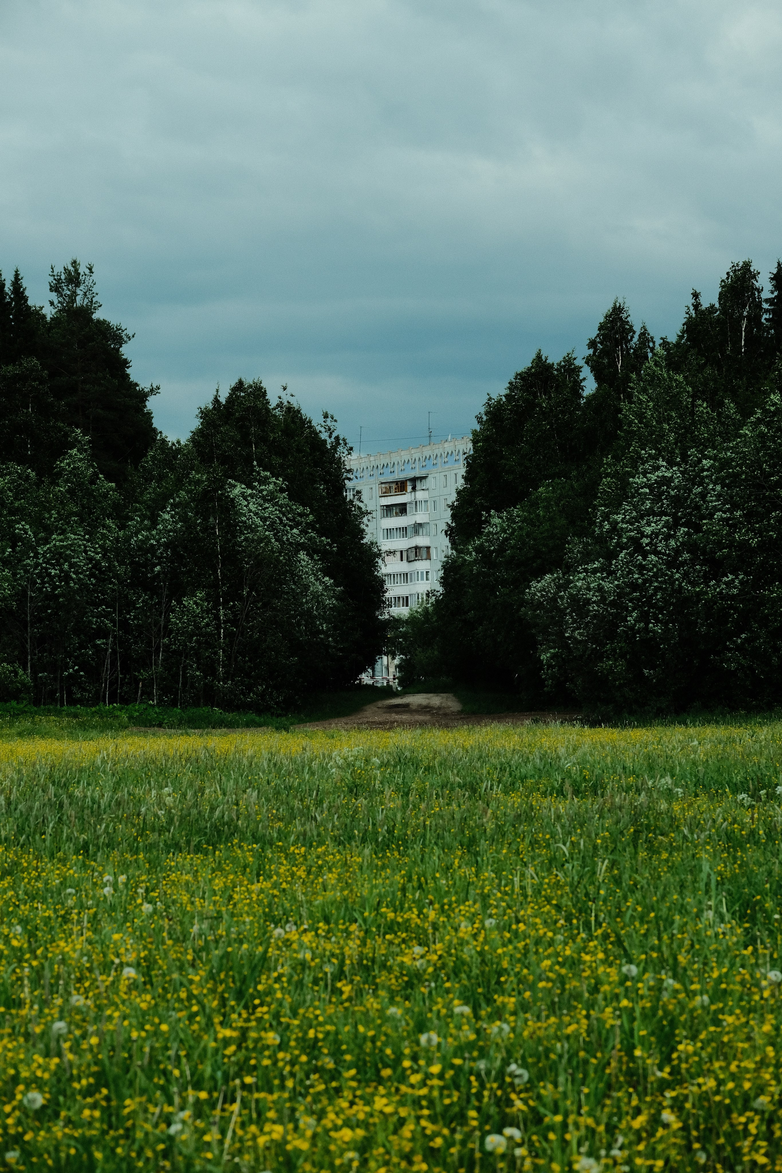 Стрит-фотография Сыктывкар. Фотограф-любитель из Кирова Андрей Погребняк