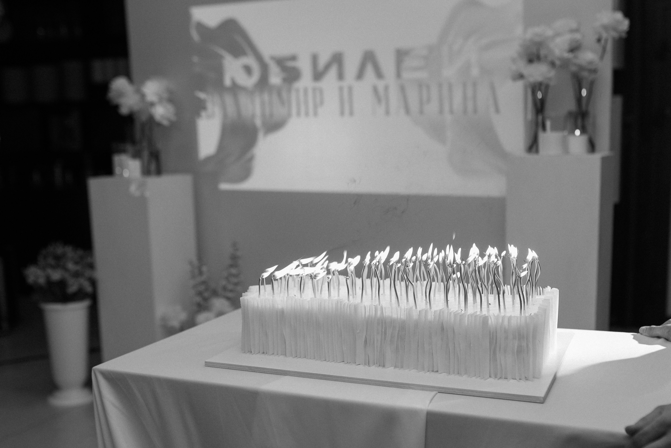 Юбилей VM. Свадебный фотограф Волгоград и Волжский Евгения Кимлач