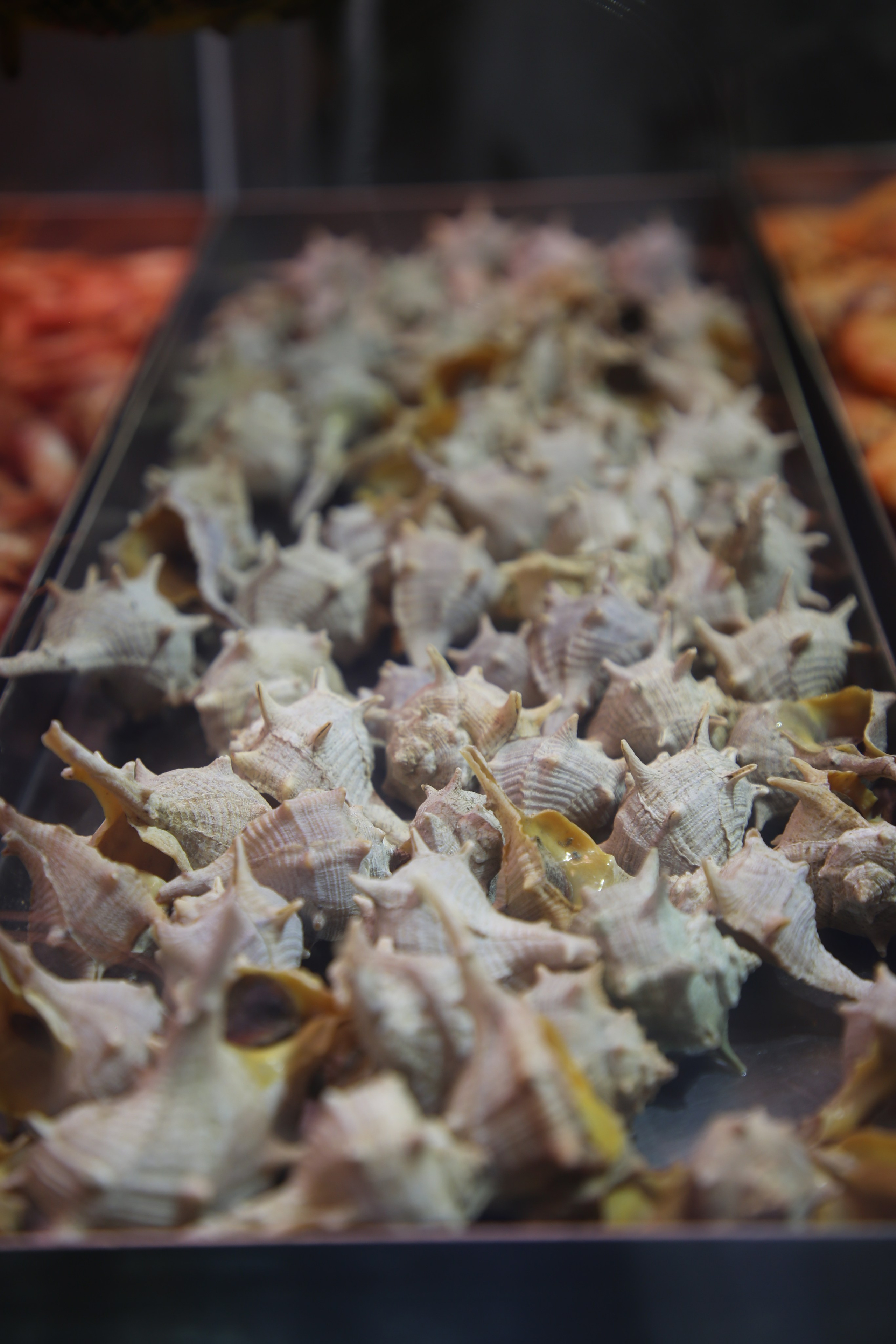 Lisbon, Portugal. Andrey Filippov Photographer