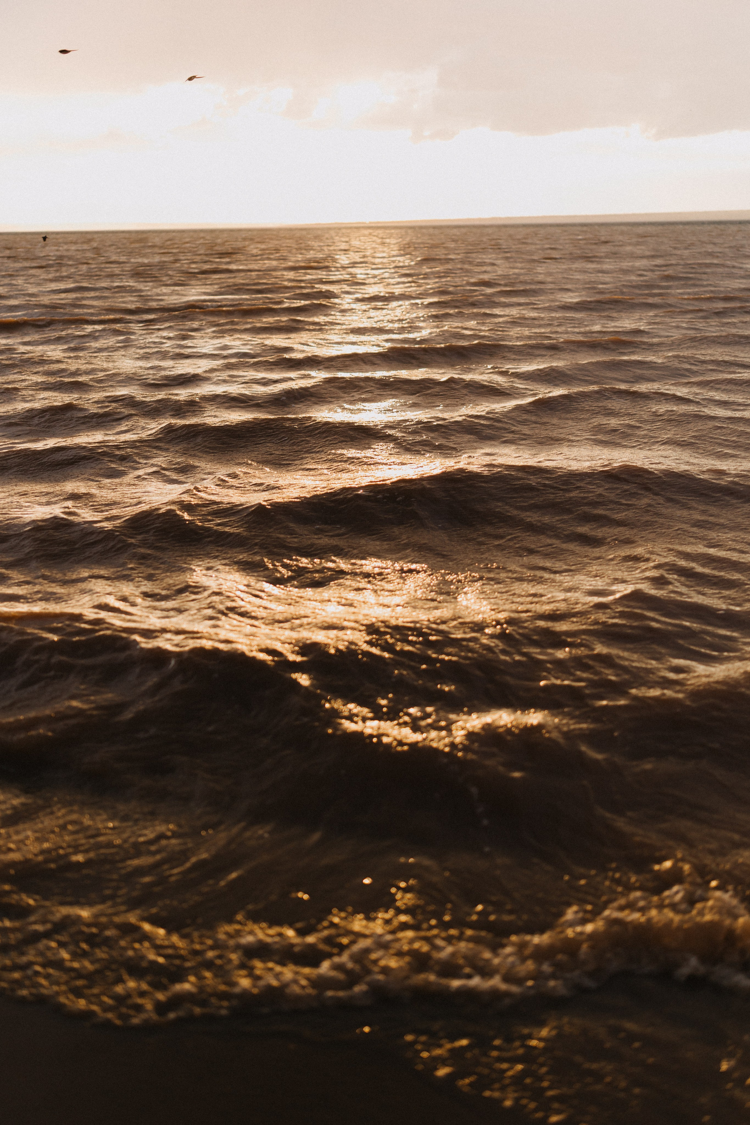 Макс и Даша. Ланемец Юлия — фотограф Волгоград/Волжский