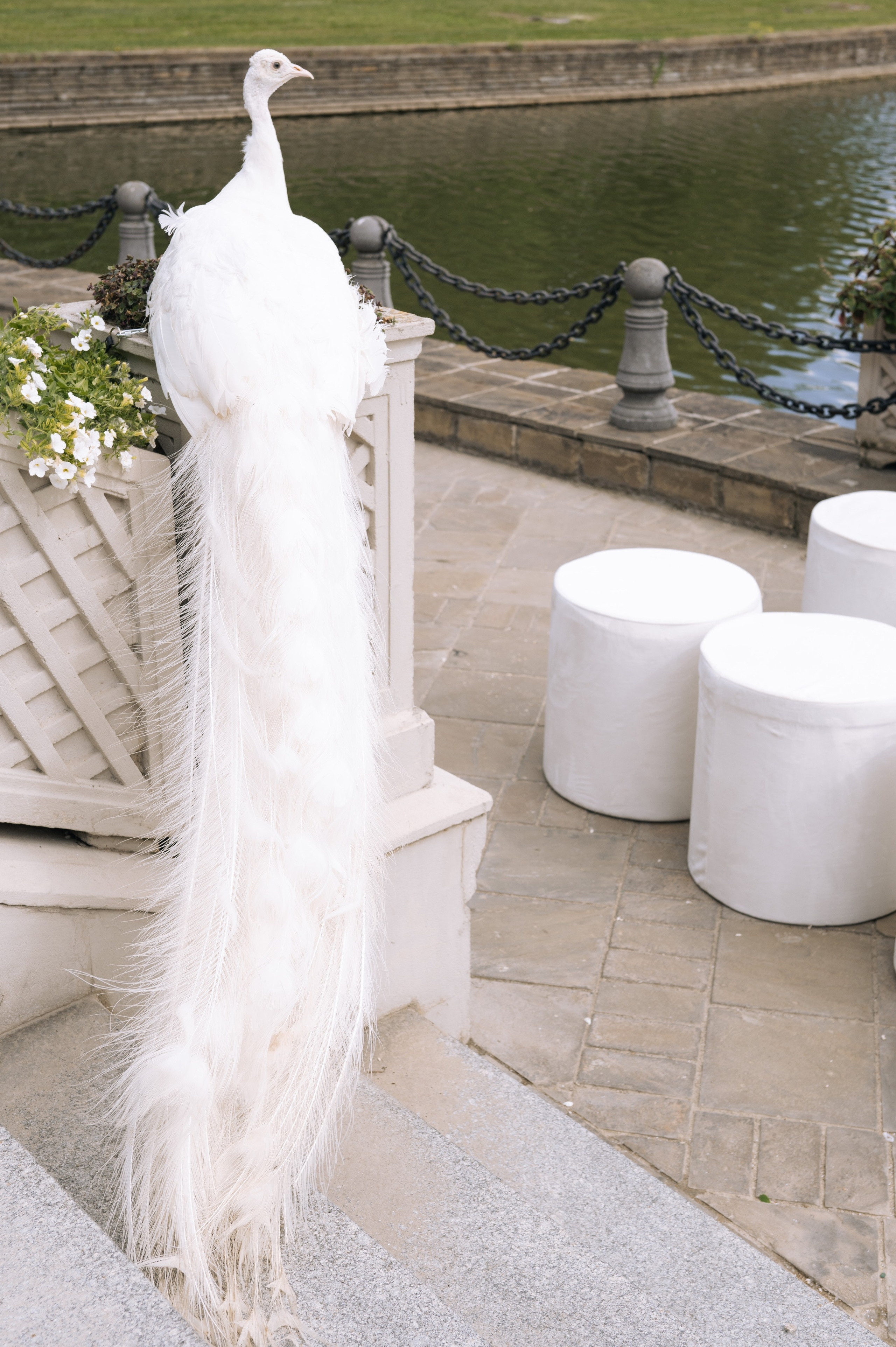 Свадебный фотограф москва. Свадебный фотограф Москва Истра Звенигород Нахабино