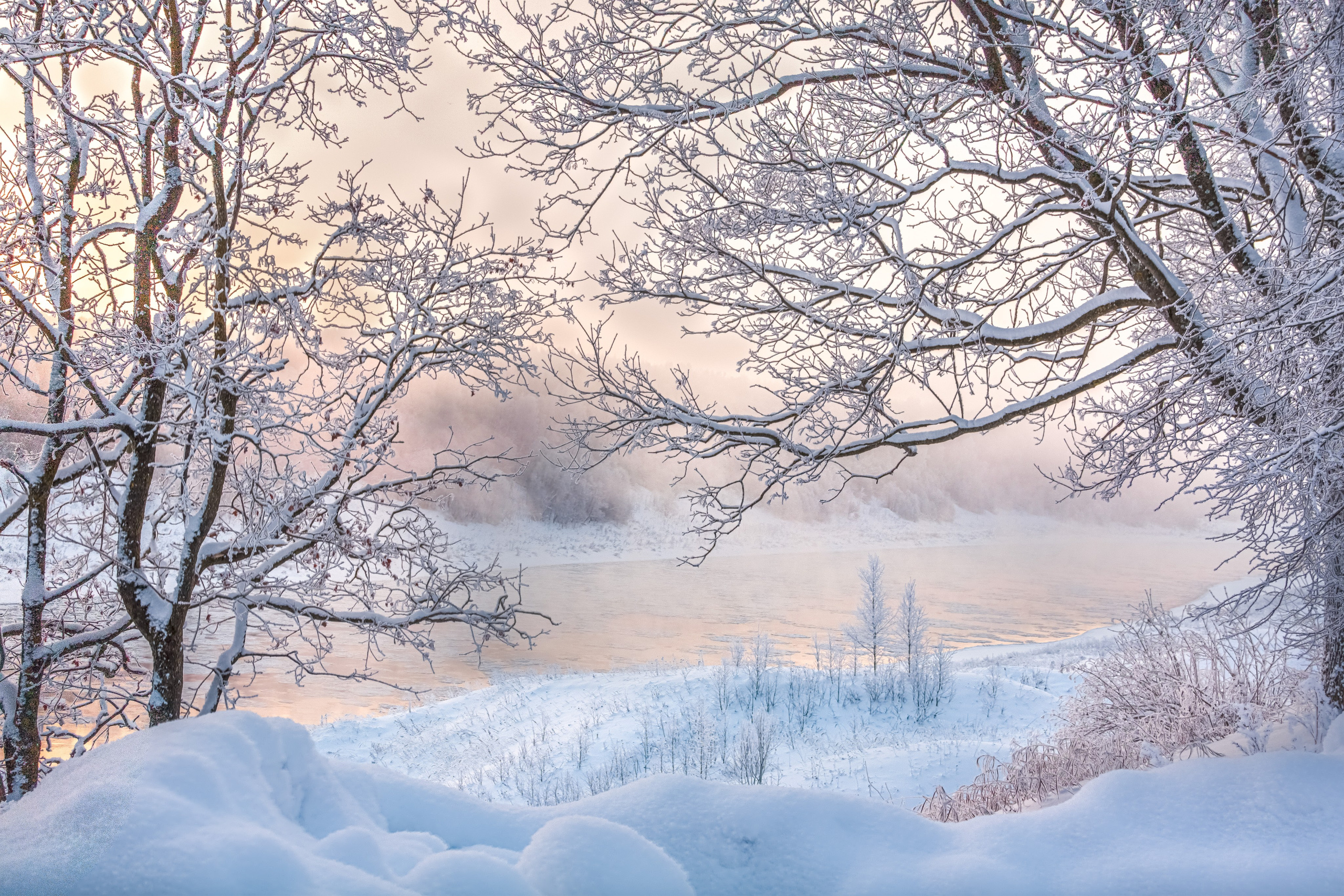 Фото Павла Крайникова