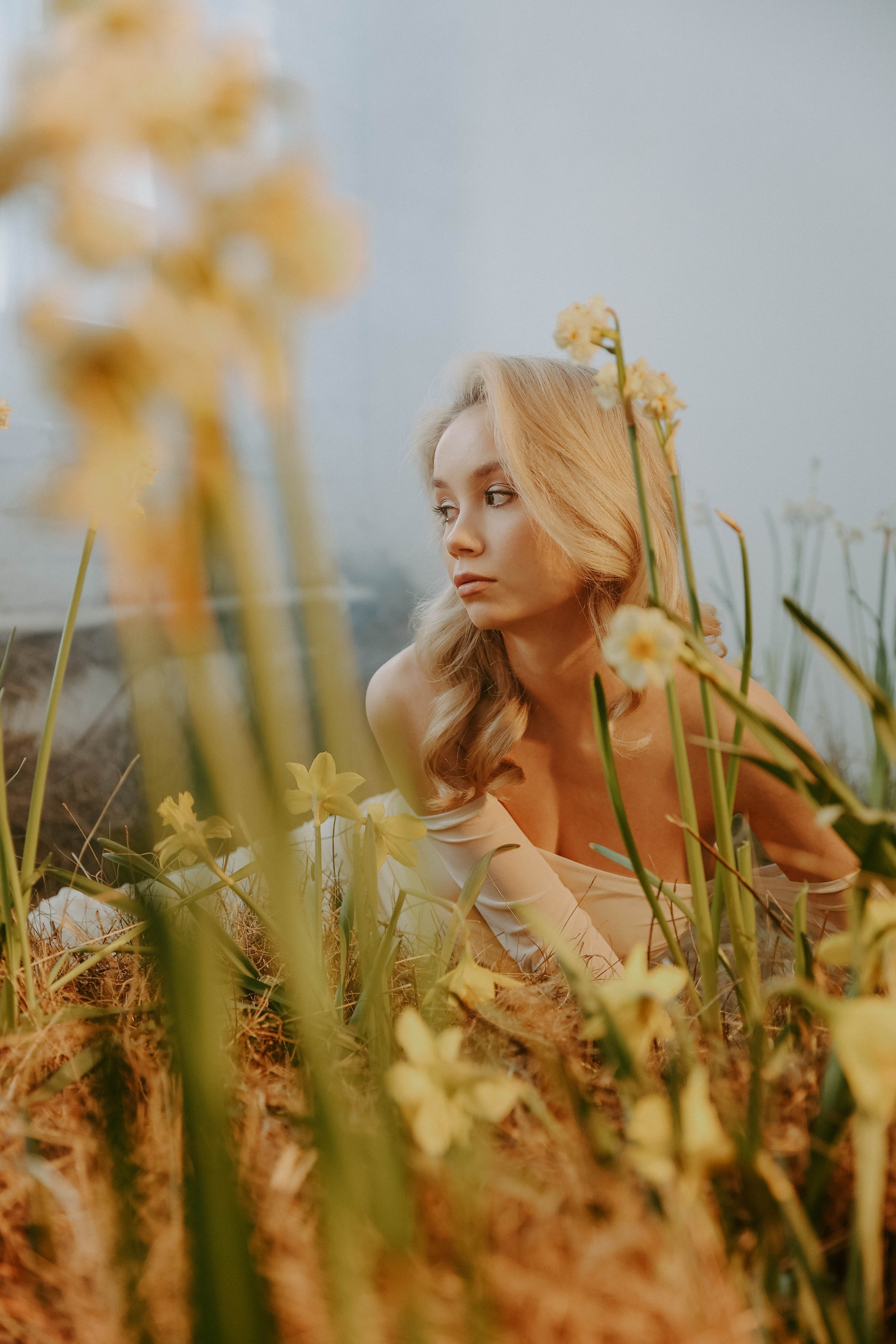 Весна. Нарциссы. Фотограф в Москве и любой точке земного шара Алёна Вялова (Чулкова)