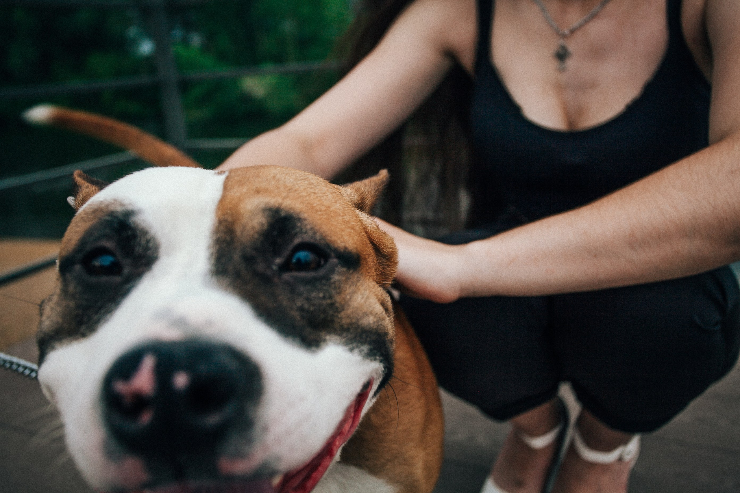 Ксюша и Юра. Фотограф Дарья Локотко в Красноярске