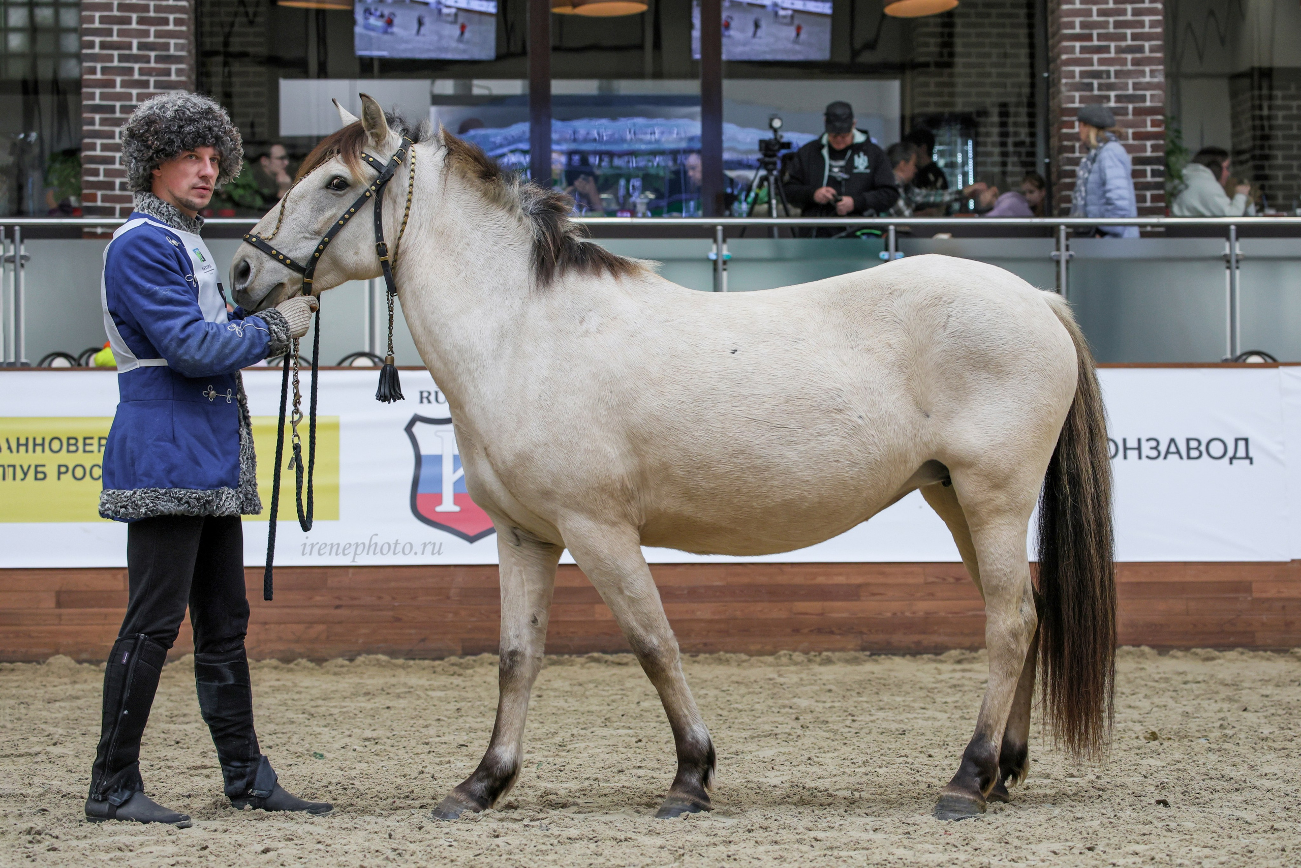 Конная Россия 2024. Irenephoto.ru