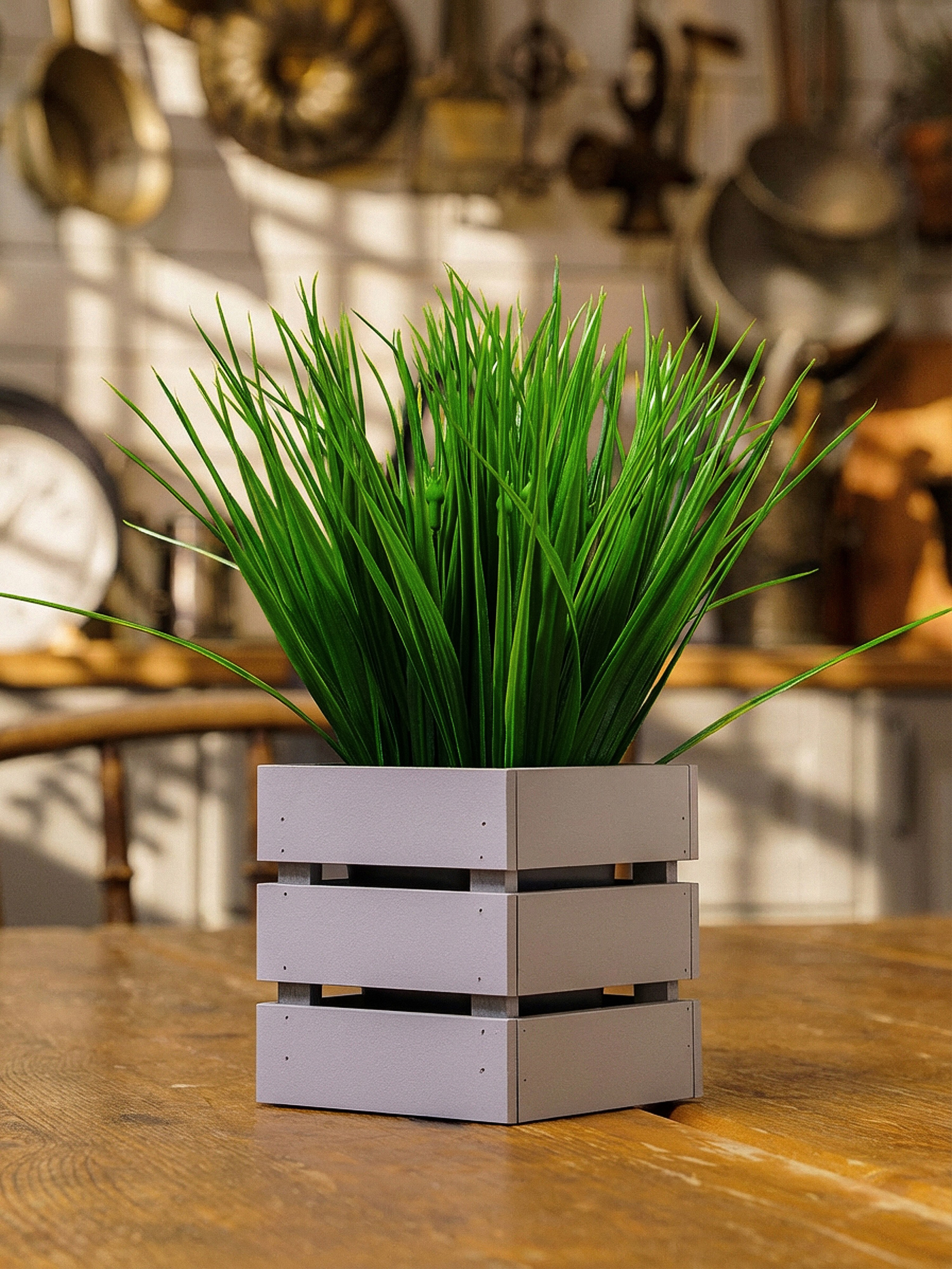 Кашпо. Макаров Сергей|Creamlebot Фотограф города Ростов-на-Дону