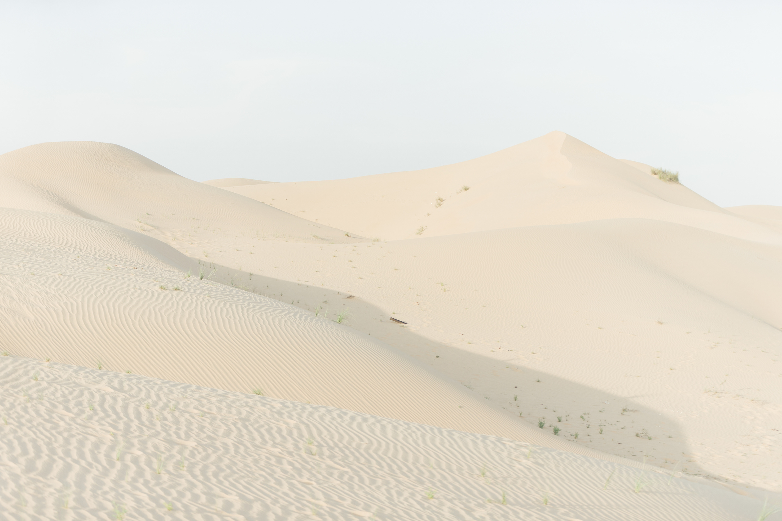 Любить в пустыне. Портфолио свадебного фотографа. Роман Каргаполов