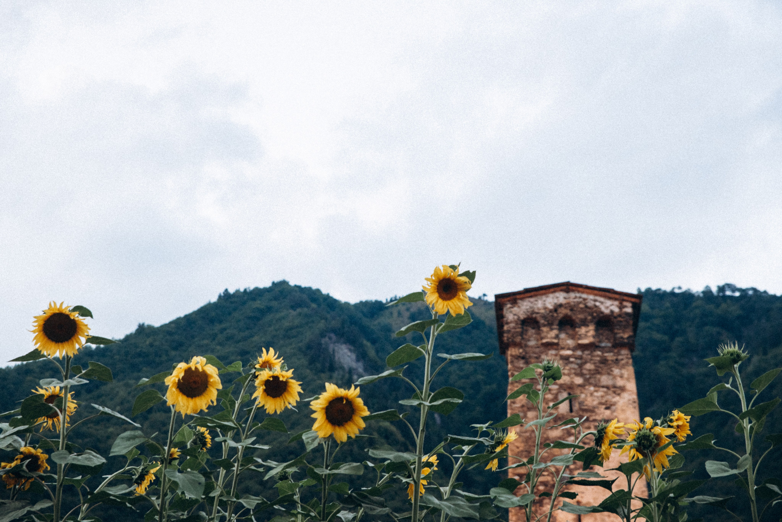 Сванетия, Грузия 🇬🇪. Anita_photo