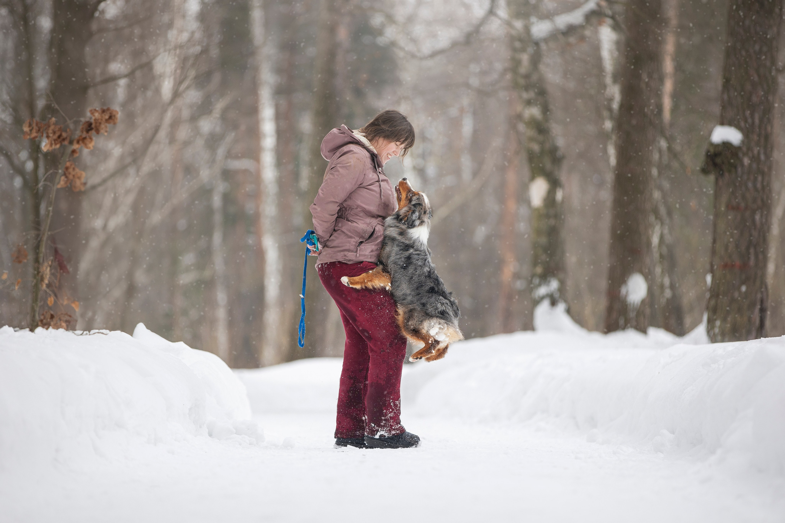 Дария, Макс, Сезам и Чили. Фотограф анималист в Москве Майорова Евгения