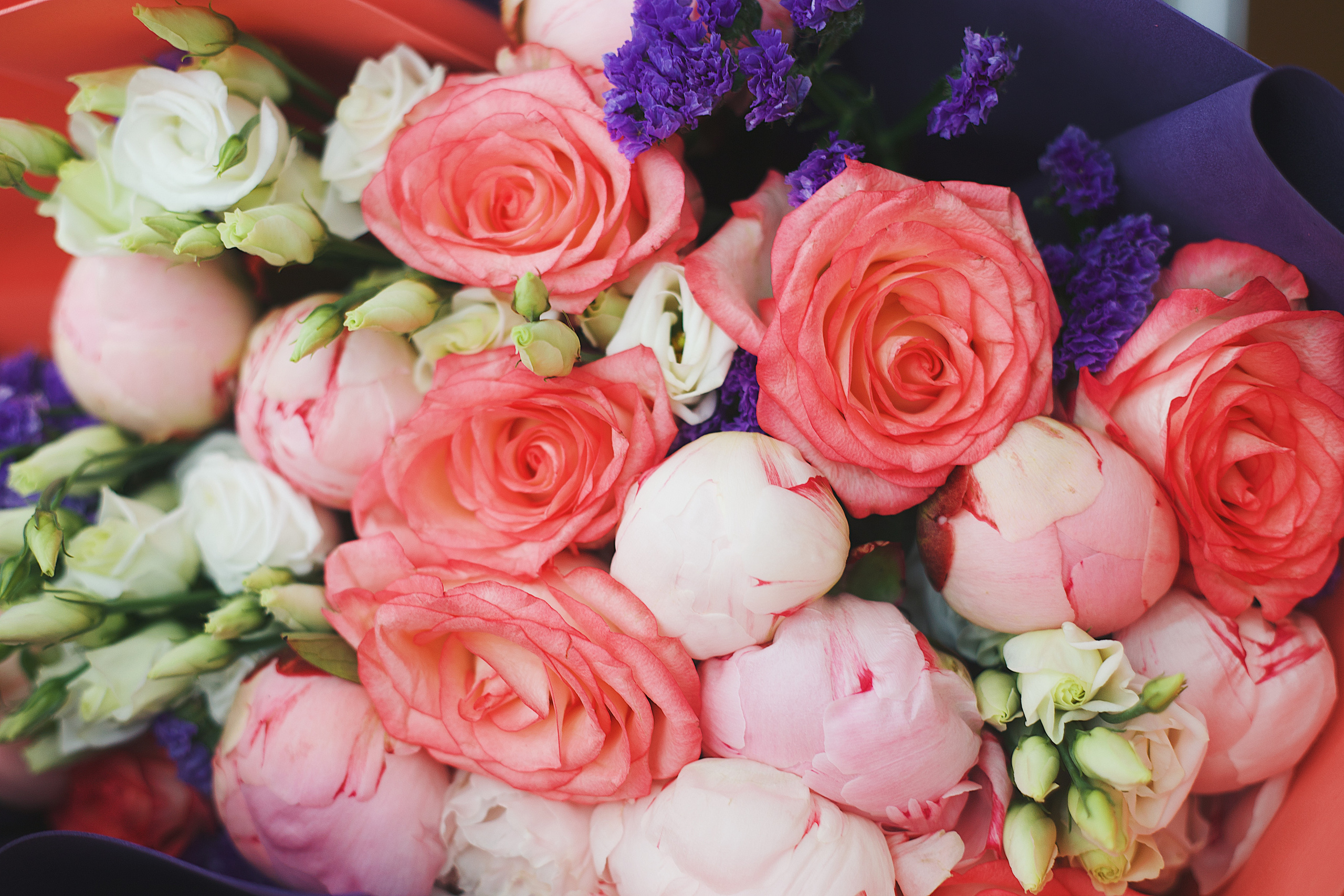 Выписка. Виктория Еремина — фотограф и видеограф в Москве