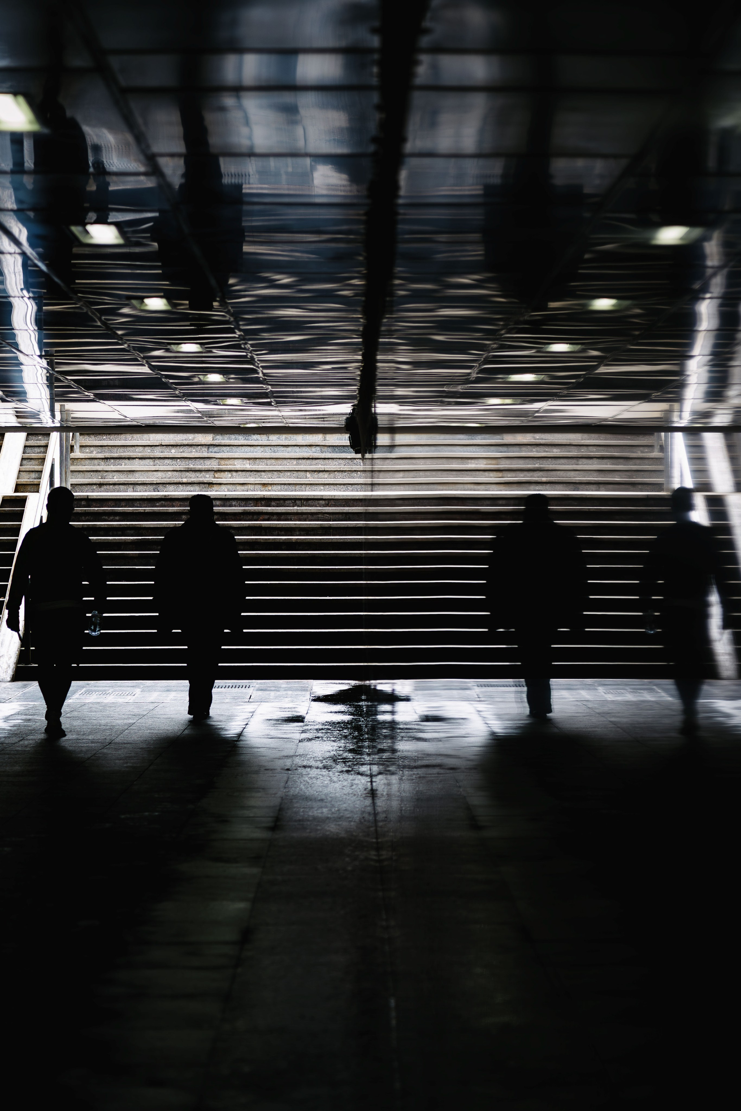 Жизнь в цветах. Алексей Гаас — фотограф