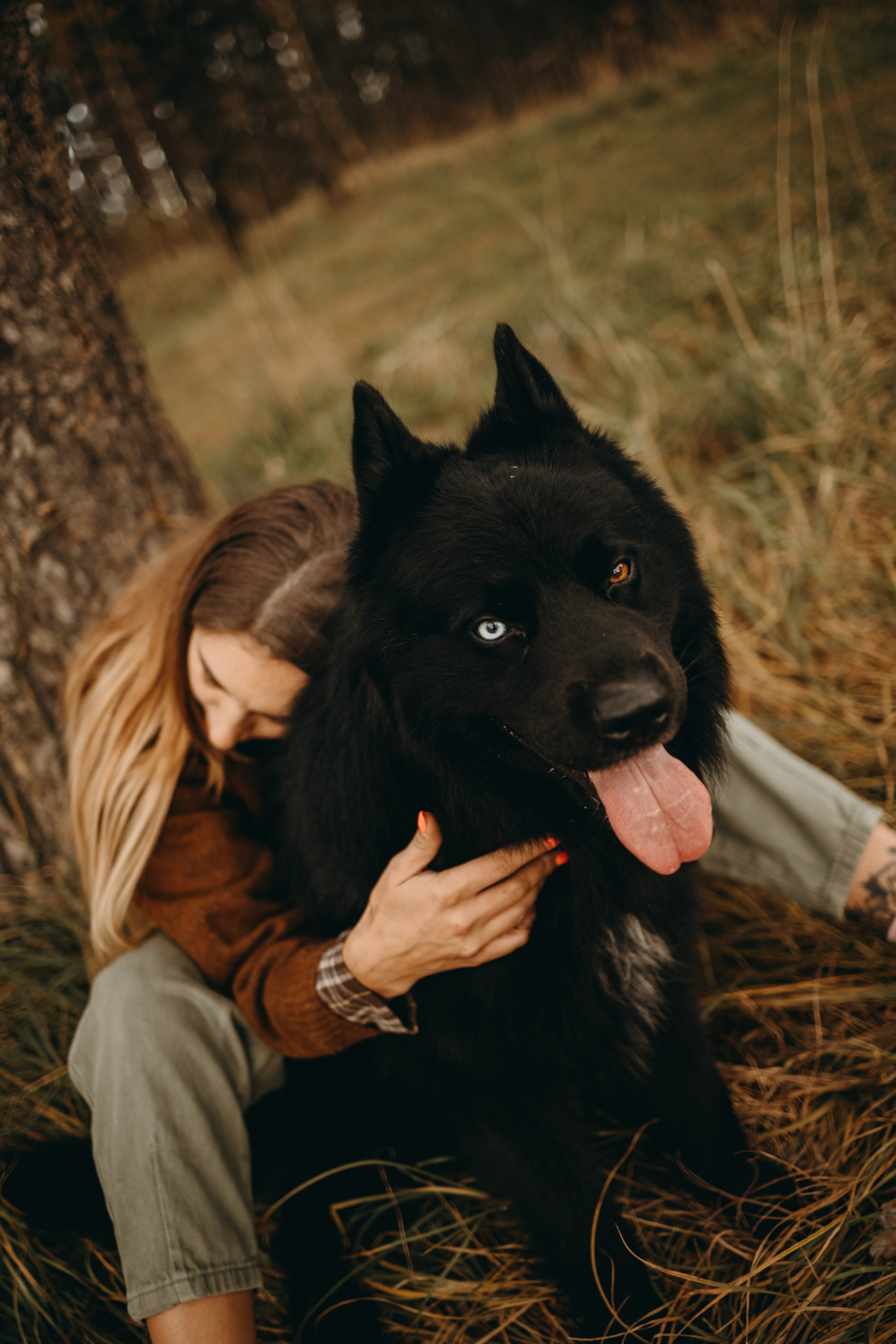 Лора и Джанго. Фотограф — Анималист | Санкт-Петербург