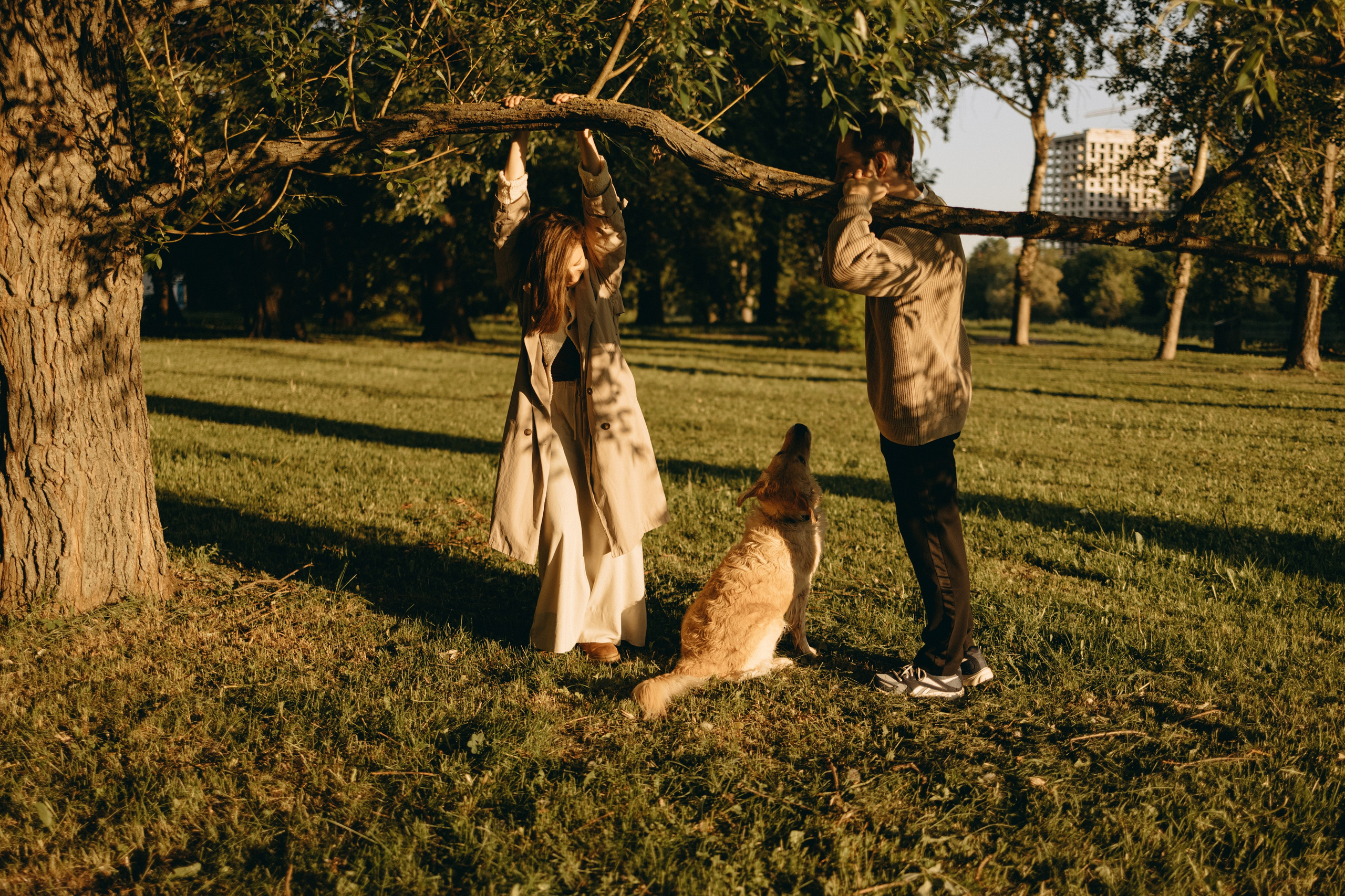 Пенни и ребята. Фотограф — Анималист | Санкт-Петербург