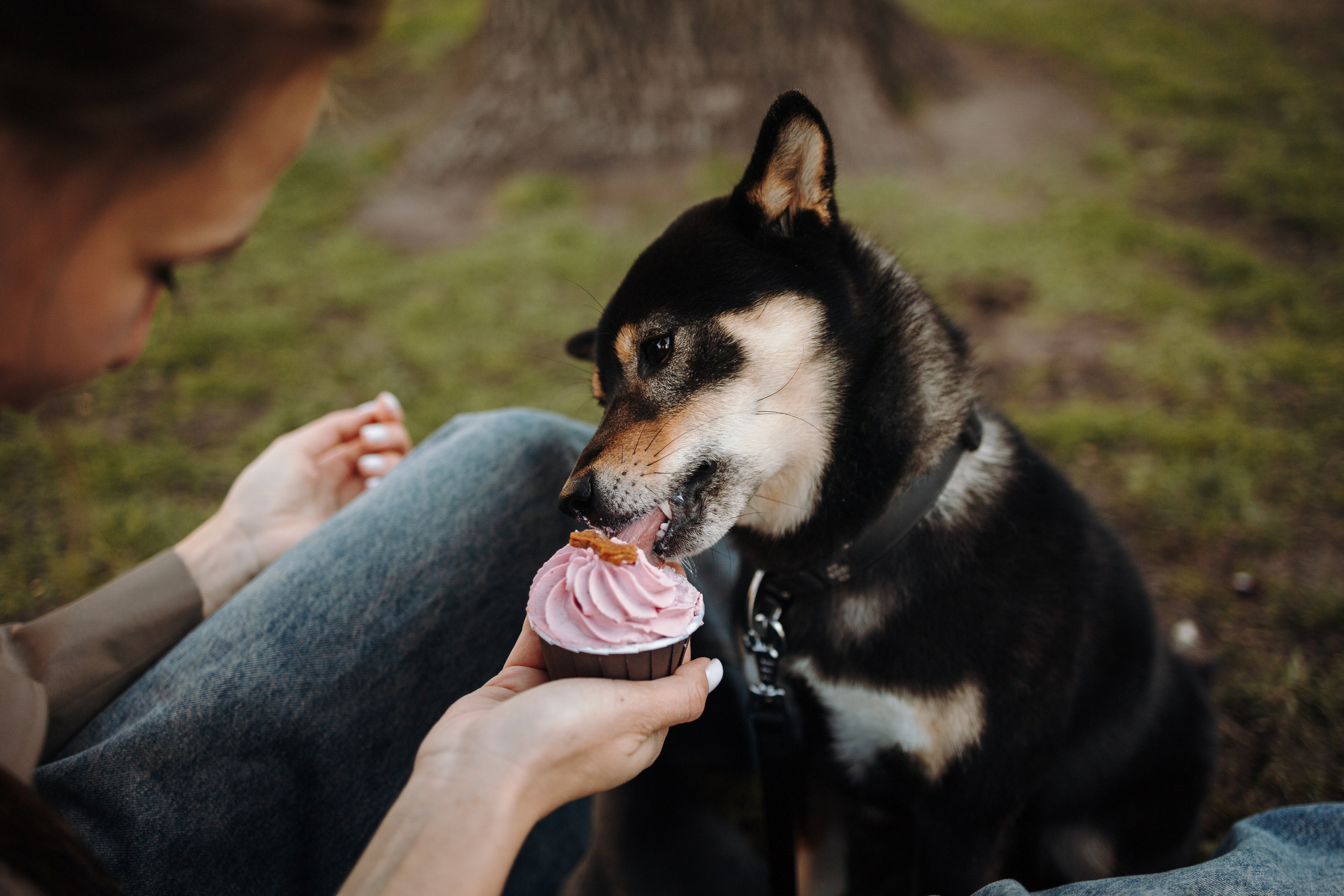 Даша и ее девочки. Фотограф — Анималист | Санкт-Петербург