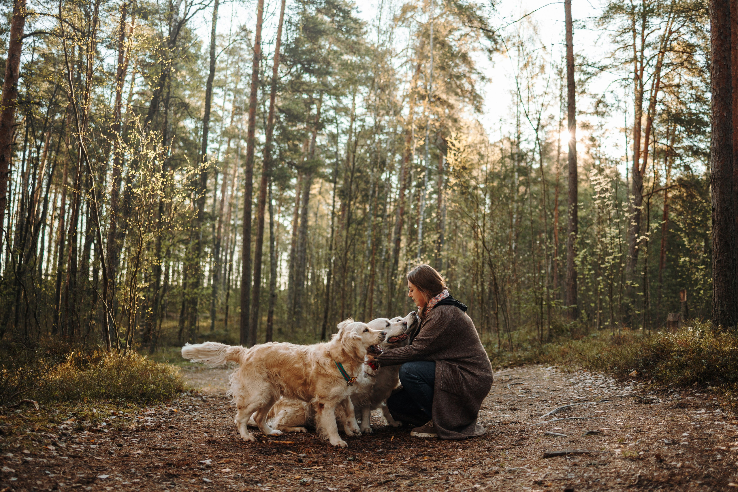 Катя и ее девочки. Фотограф — Анималист | Санкт-Петербург