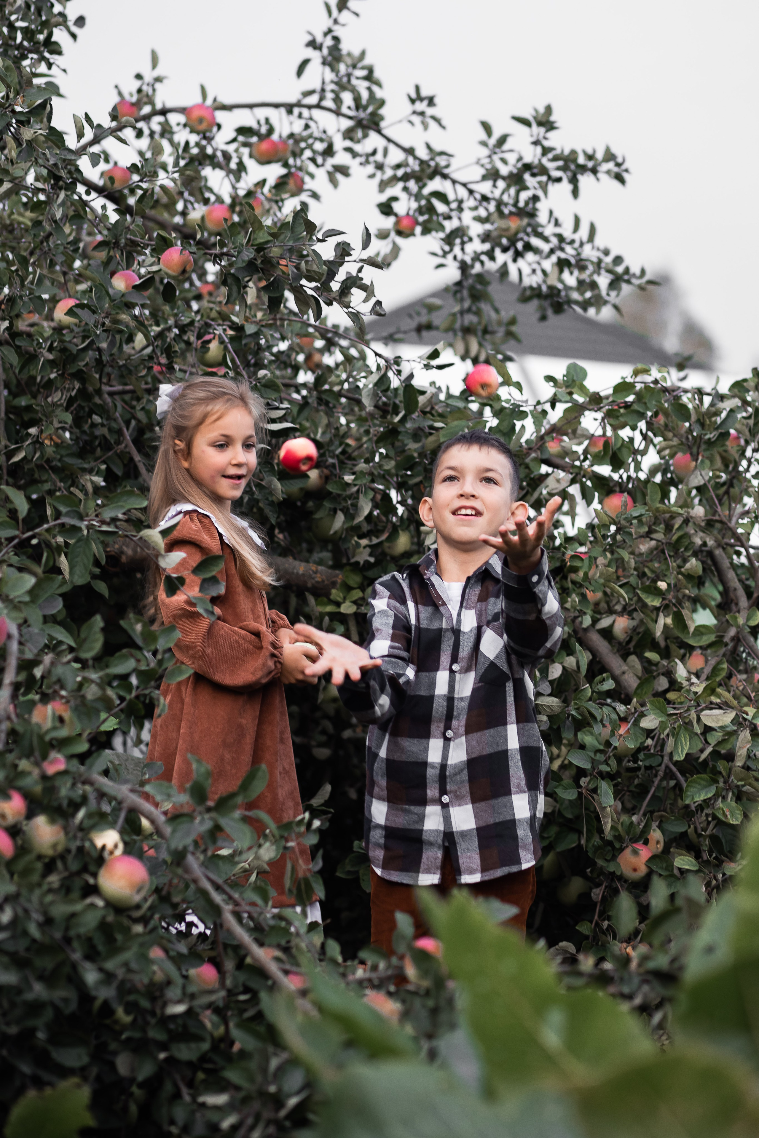 Услуги. Свадебный и семейный фотограф в Колпино и СПб Юлия Папанова