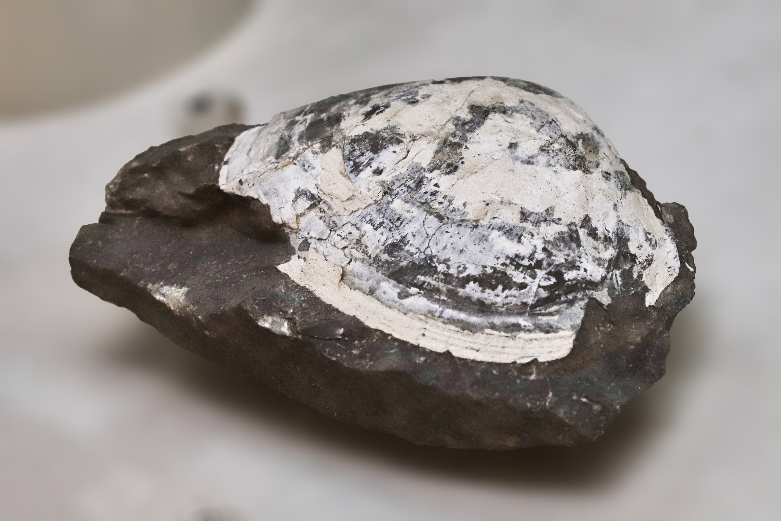 Каменная летопись. Фотограф Юлия Маринина