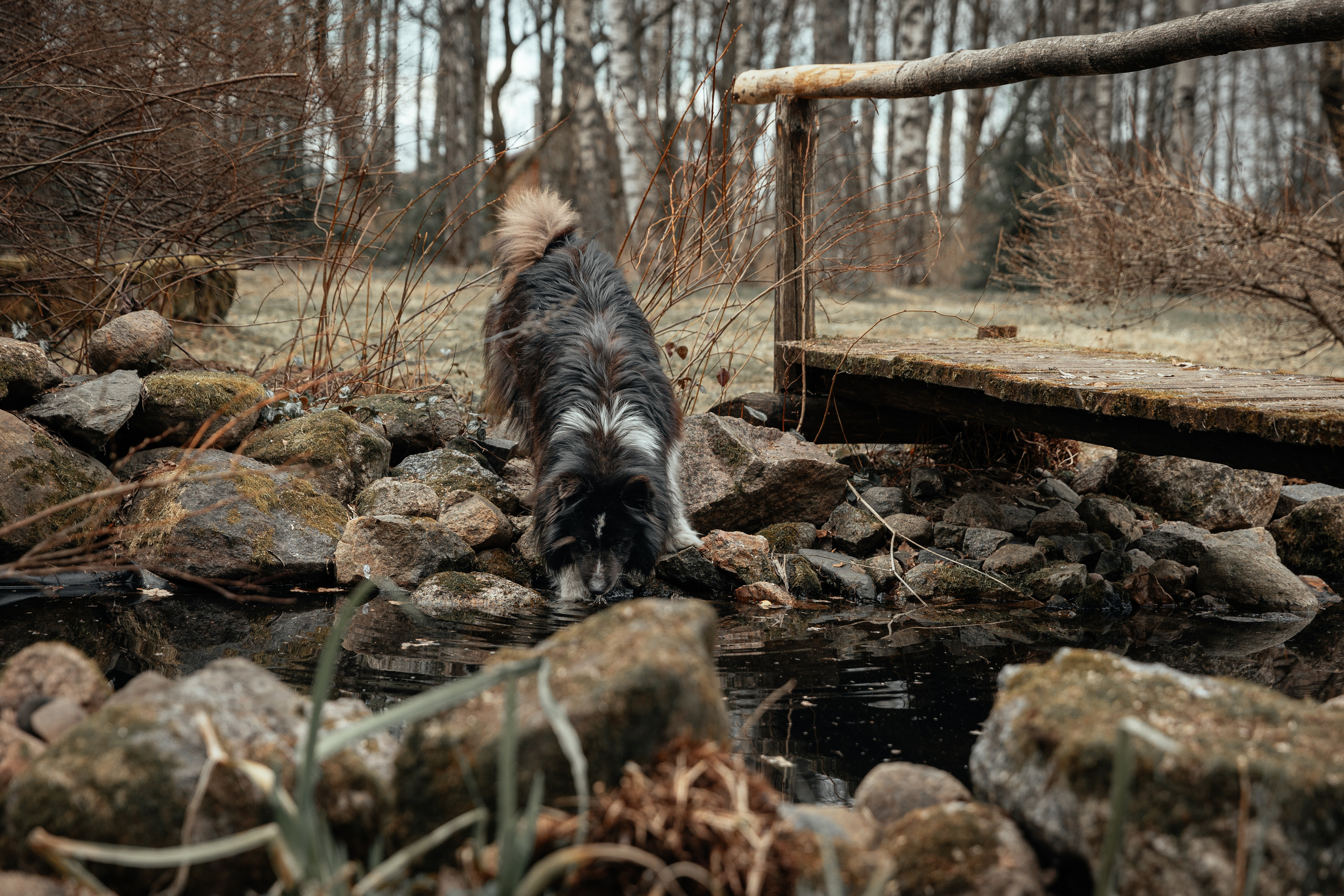 Проект 4 свадьбы на канале «Пятница». Двойная свадьба. Мои впечатления от съемки. Ева Демидова. Спортсмен по конкуру в Санкт-Петербуре
