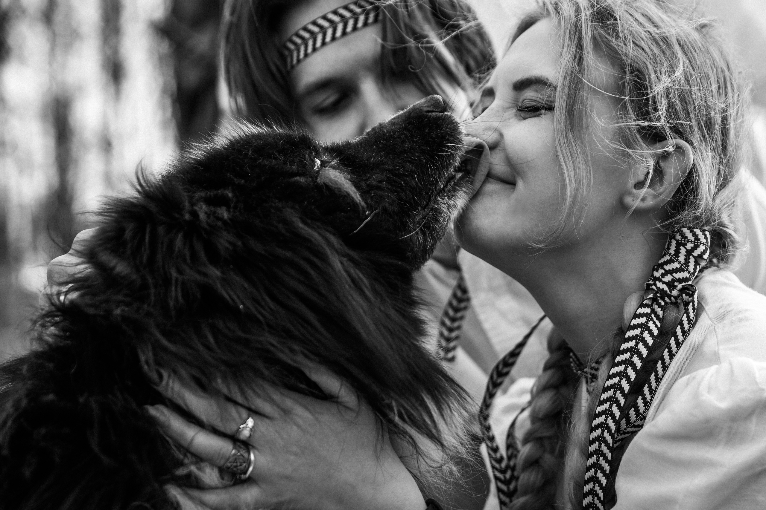 Проект 4 свадьбы на канале «Пятница». Двойная свадьба. Мои впечатления от съемки. Ева Демидова. Спортсмен по конкуру в Санкт-Петербуре