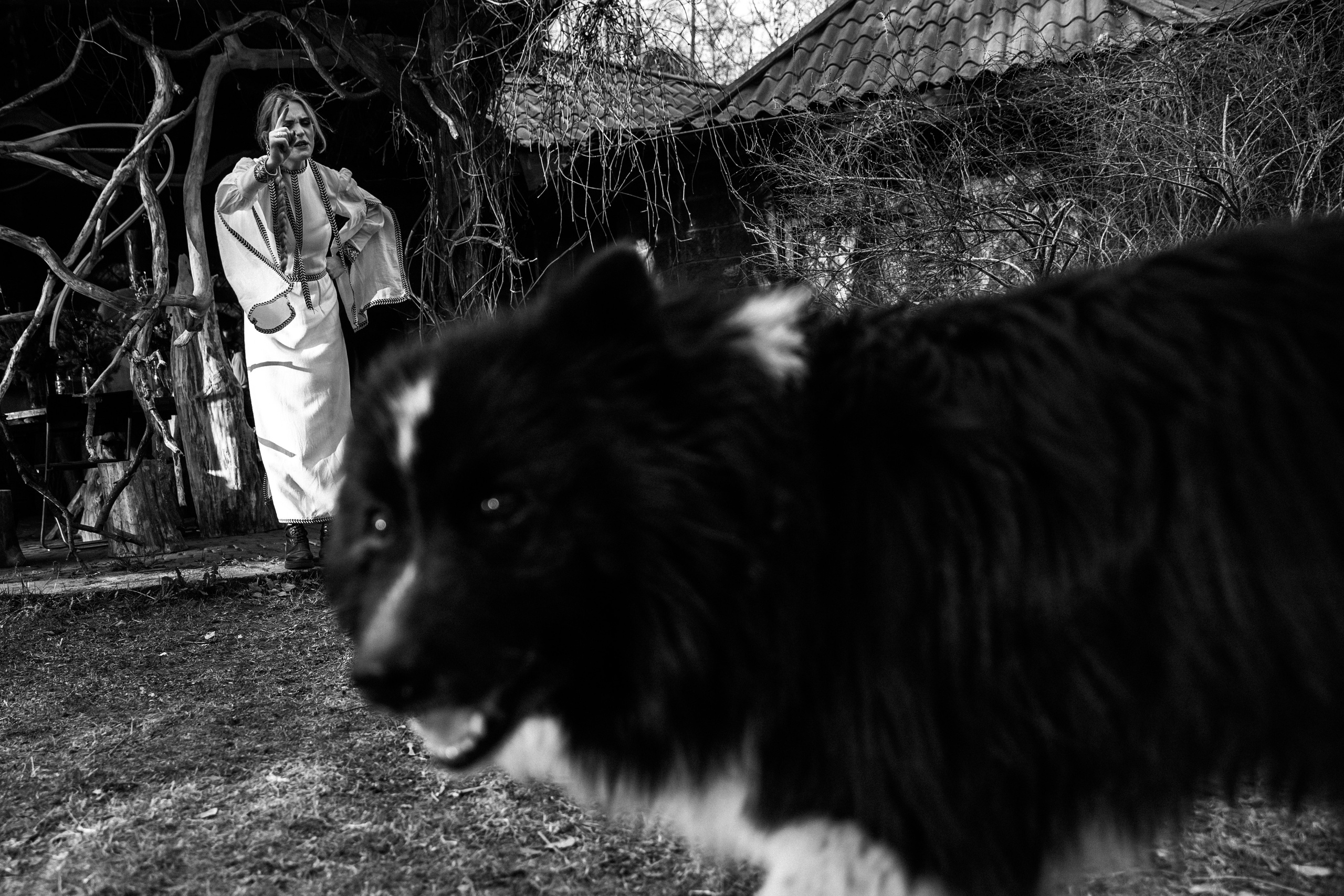 Проект 4 свадьбы на канале «Пятница». Двойная свадьба. Мои впечатления от съемки. Ева Демидова. Спортсмен по конкуру в Санкт-Петербуре