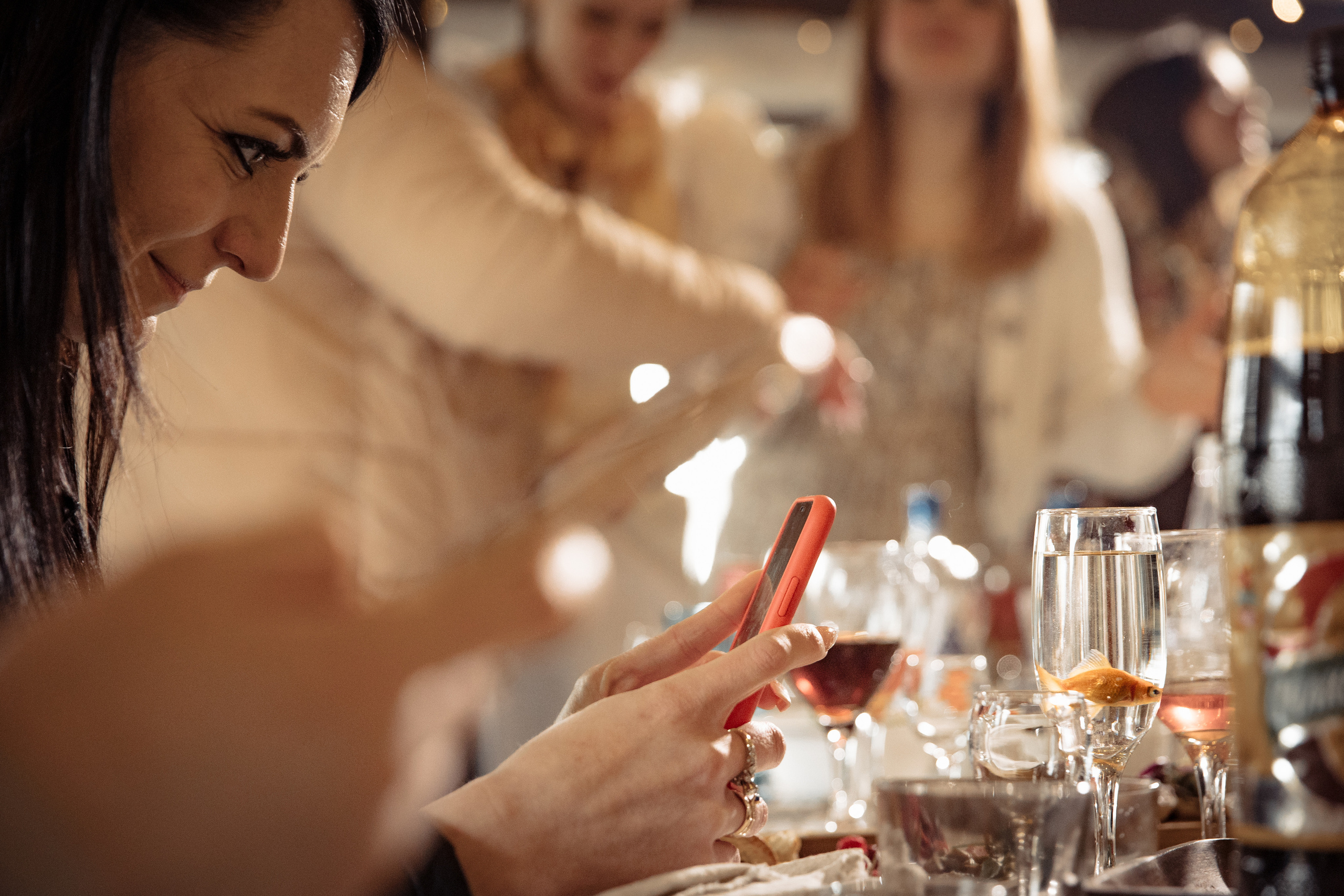 Проект 4 свадьбы на канале «Пятница». Двойная свадьба. Мои впечатления от съемки. Ева Демидова. Спортсмен по конкуру в Санкт-Петербуре