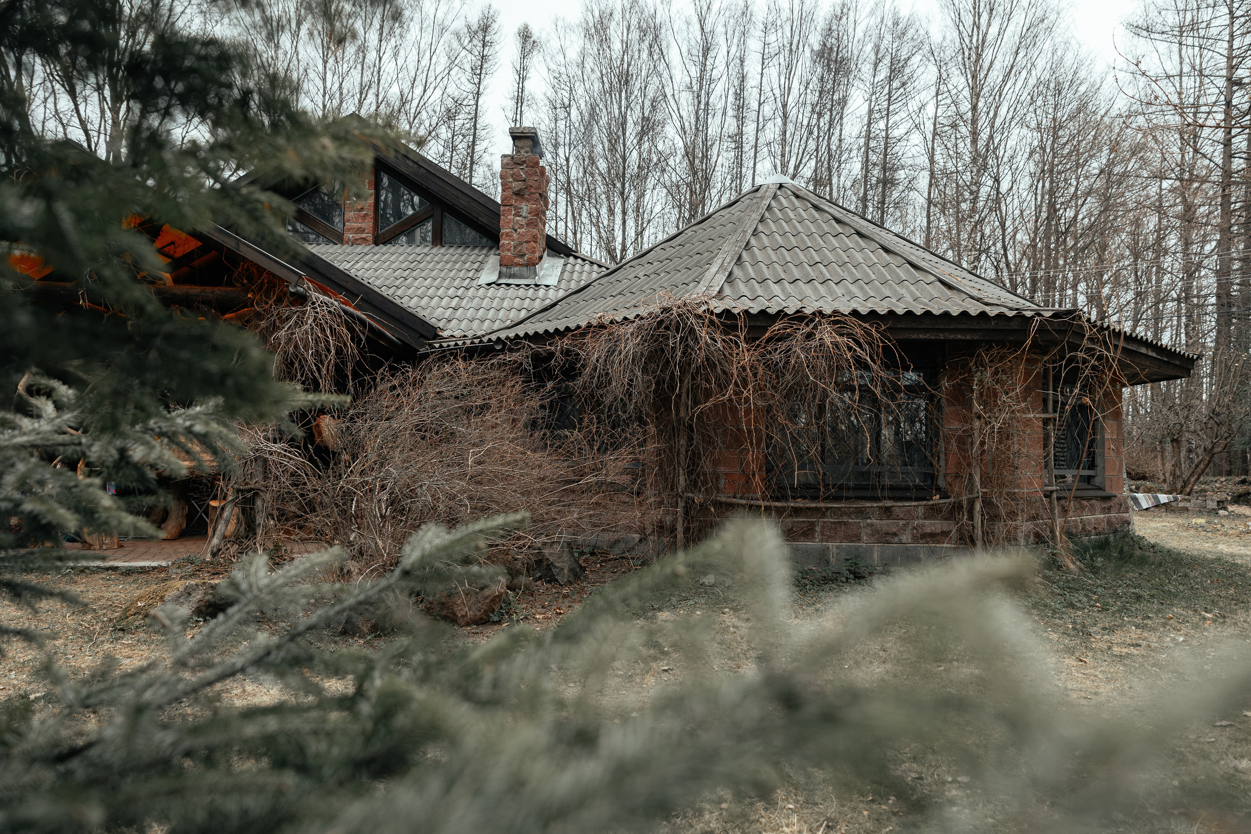Творческая фотосессия на берегу Финского залива. Ева Демидова. Спортсмен по конкуру в Санкт-Петербуре