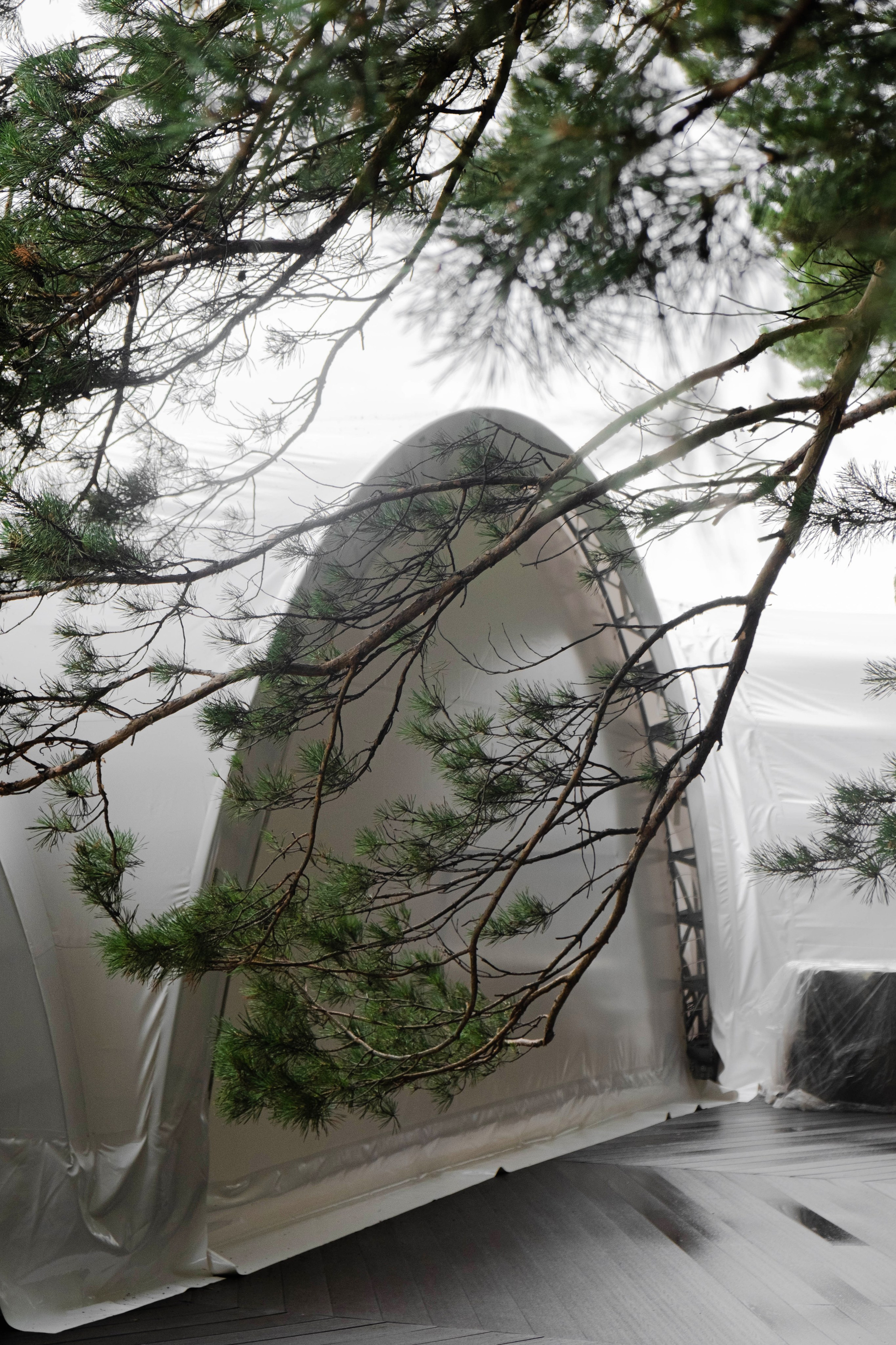 Total black. Свадебный и семейный фотограф в Новосибирске, Санкт-Петербурге, Москве