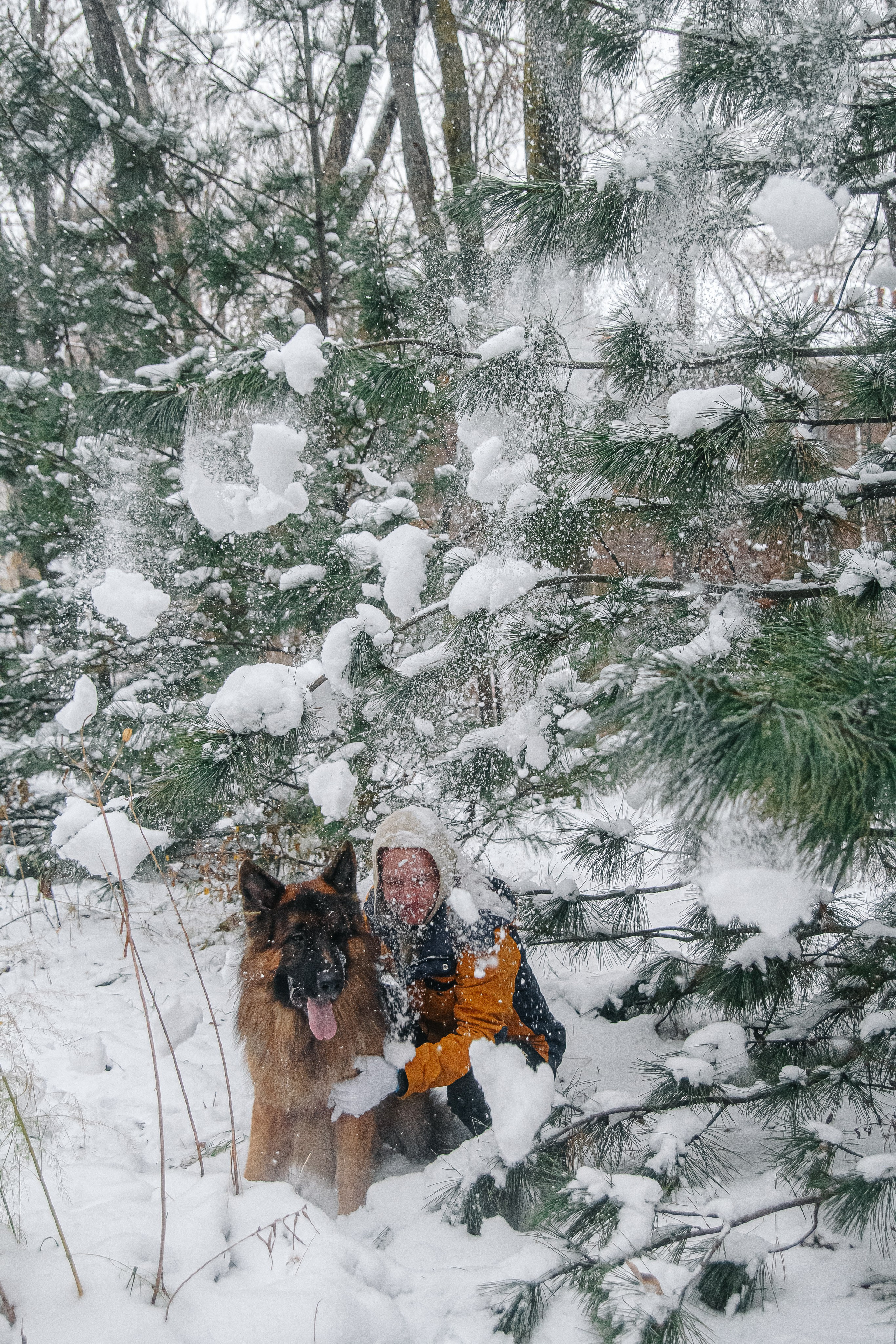 Первый снег 24. Фотограф в Хабаровске Юлия Чванова