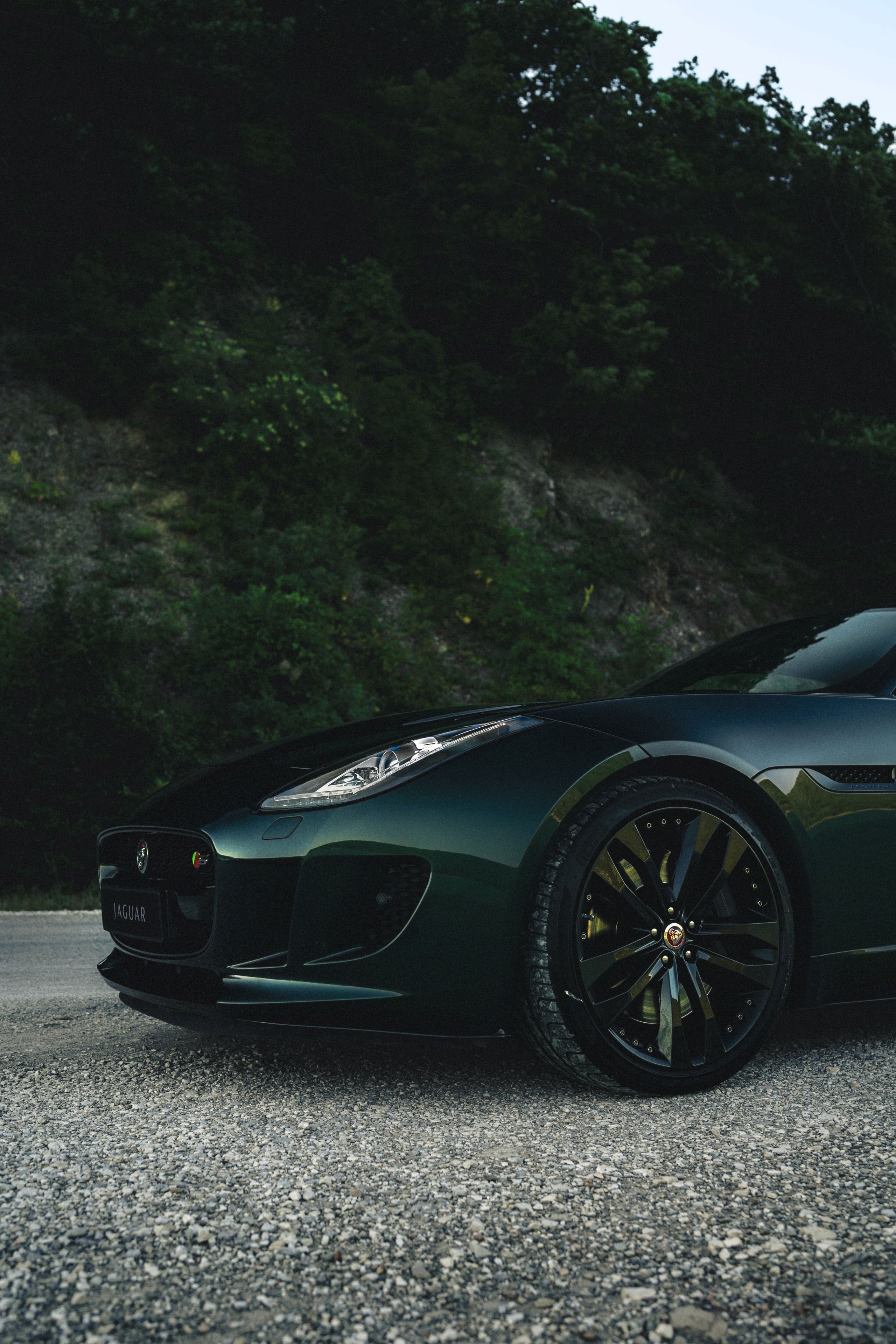 Jaguar F-type S x Egor. Фотограф Илья К. в Москве