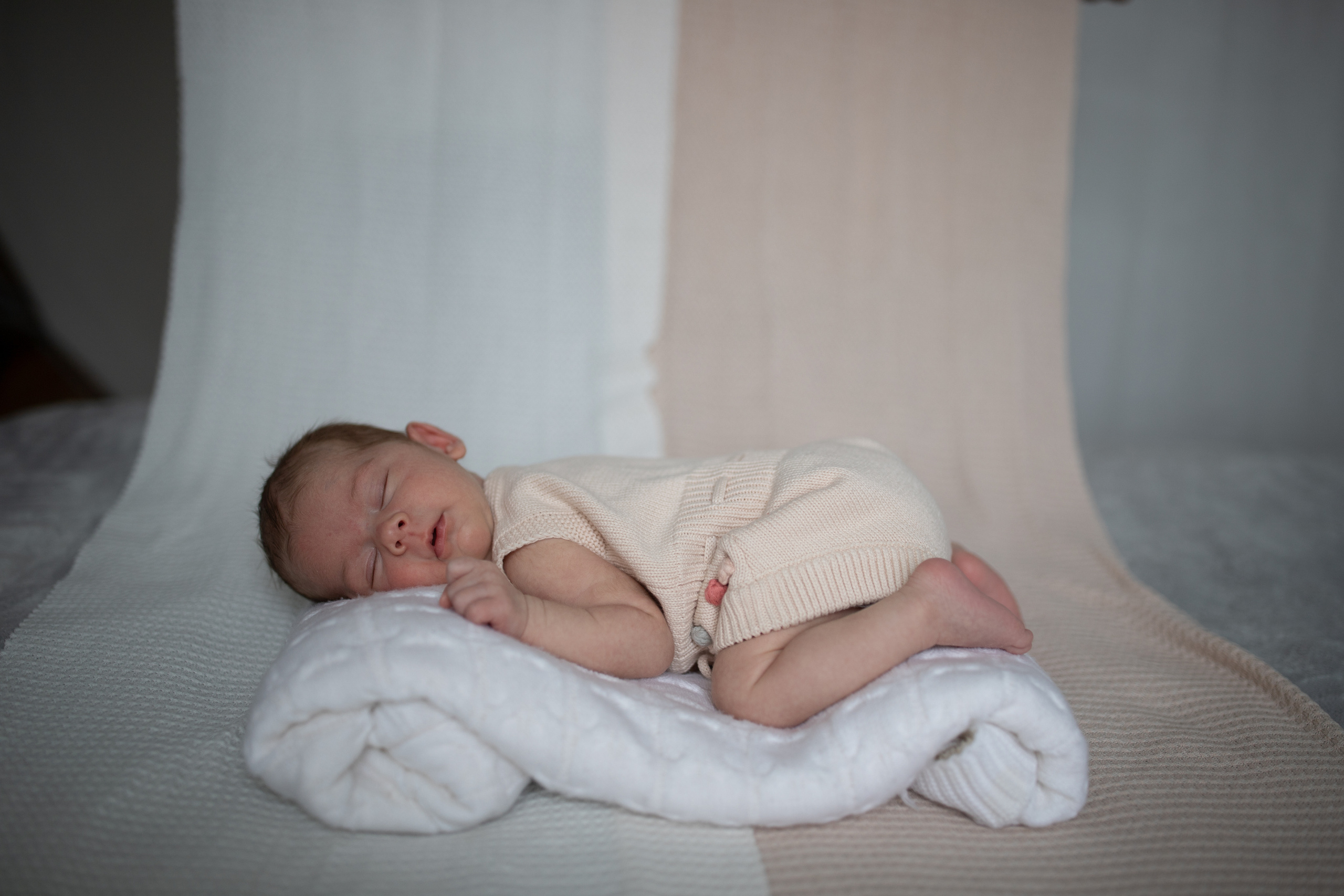 Newborn