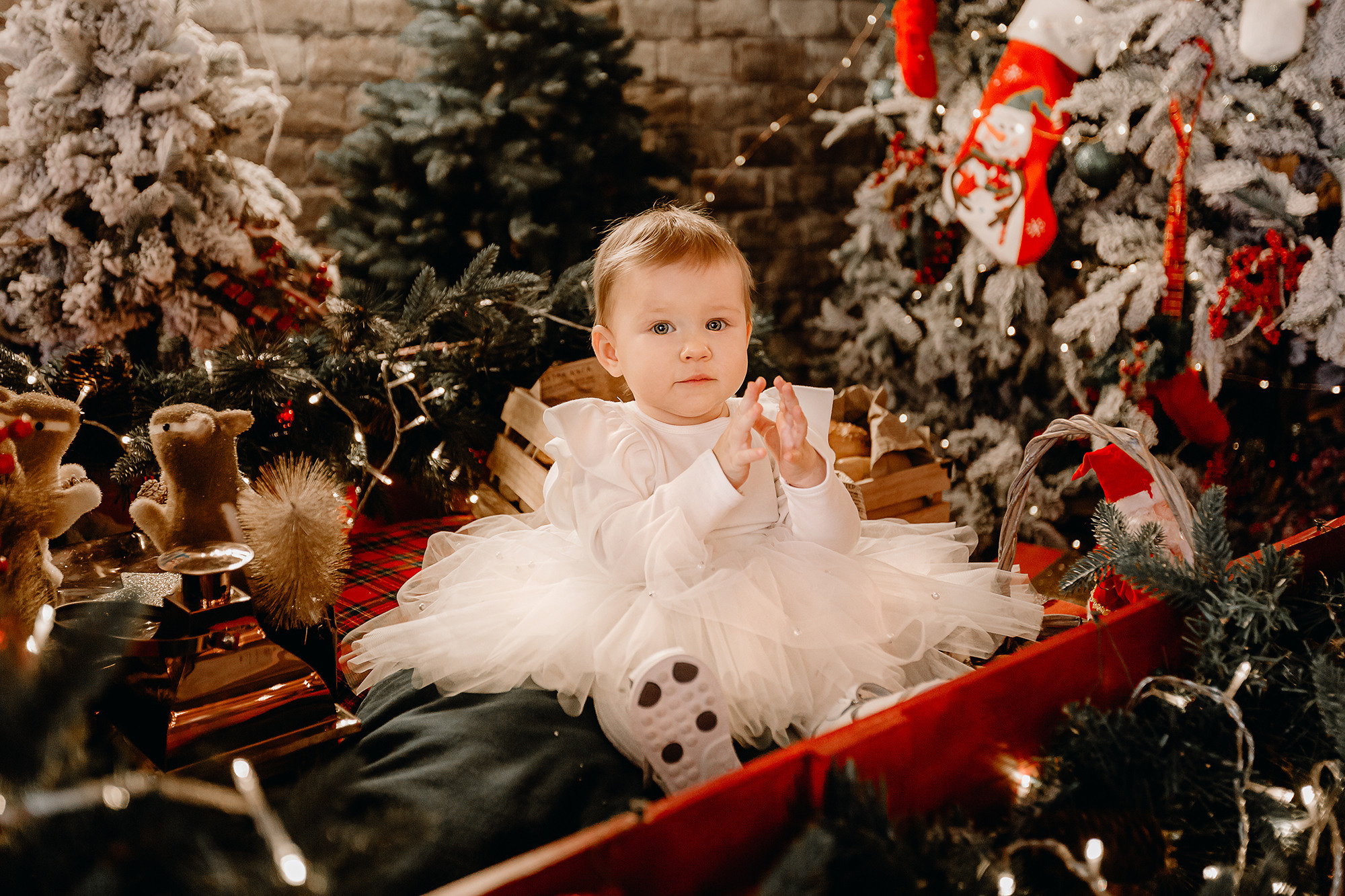 Семейная фотосессия Москва МО, семейный фотограф Москва и МО. Свадебный и контент фотограф в Москве — Юлия Барно (Баранова)