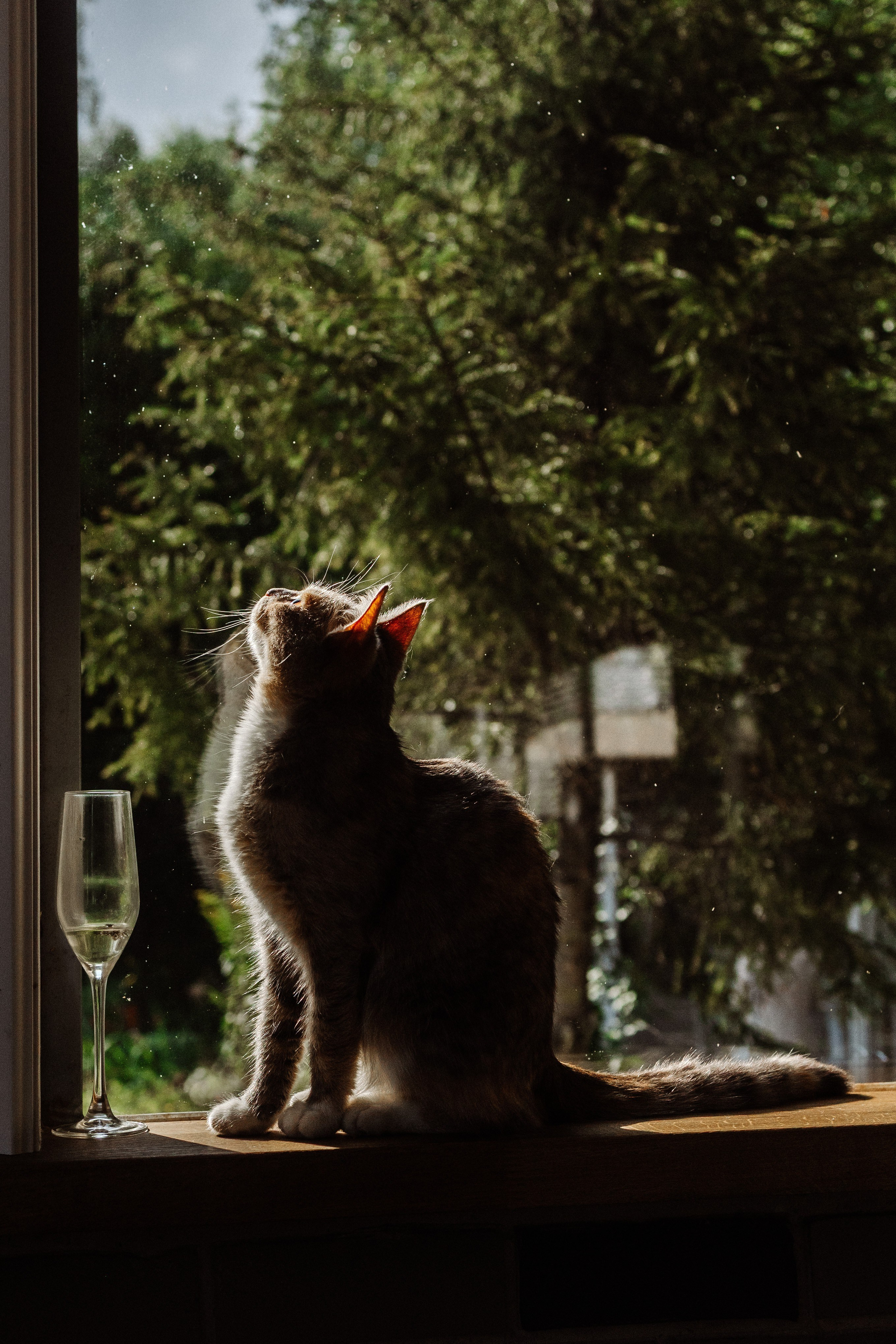 Арсений и Екатерина. Свадебный фотограф Маргарита Глумскова