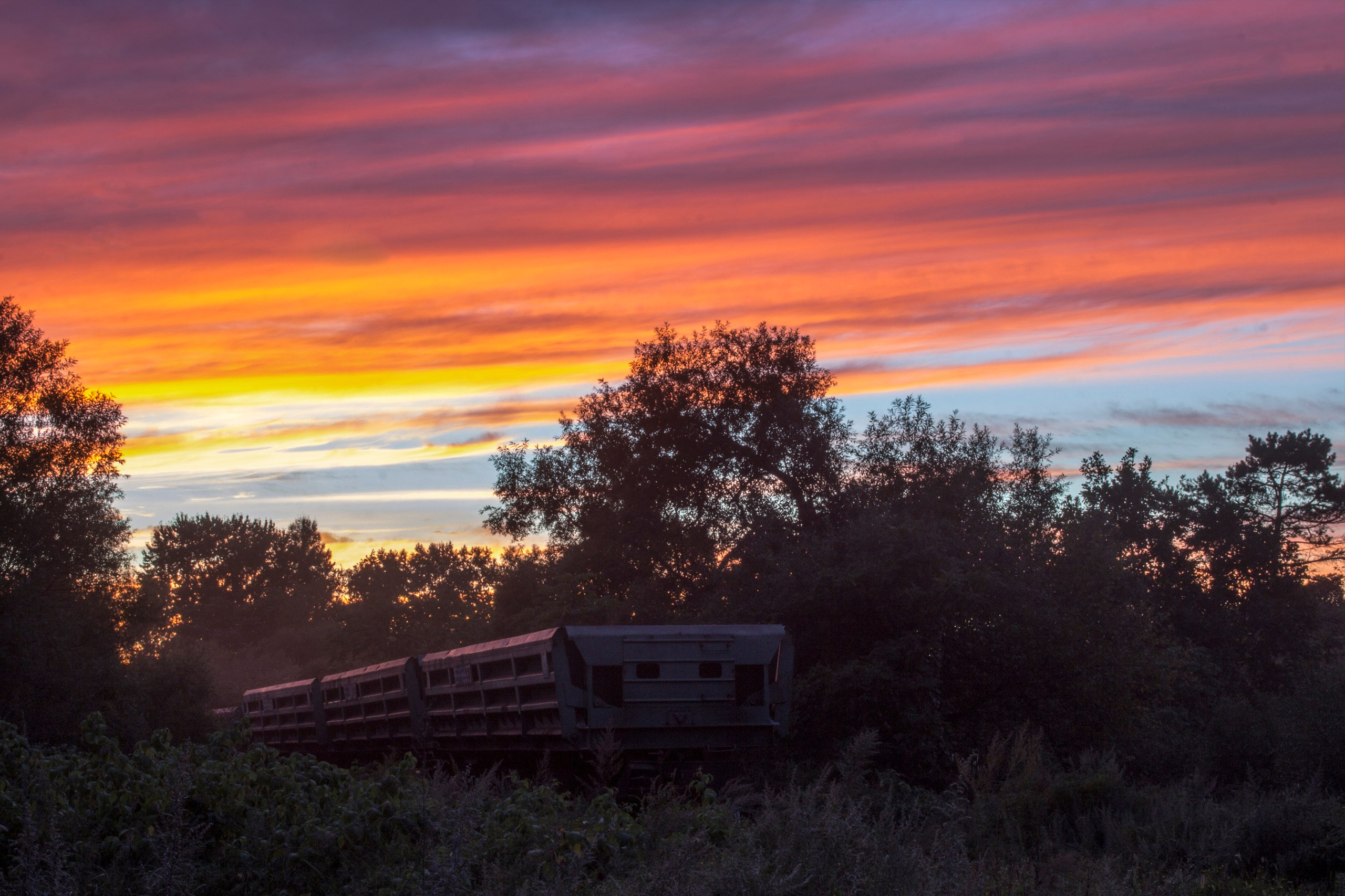 Природа Хабаровского края. Команда фотографов Кристины Ивановой