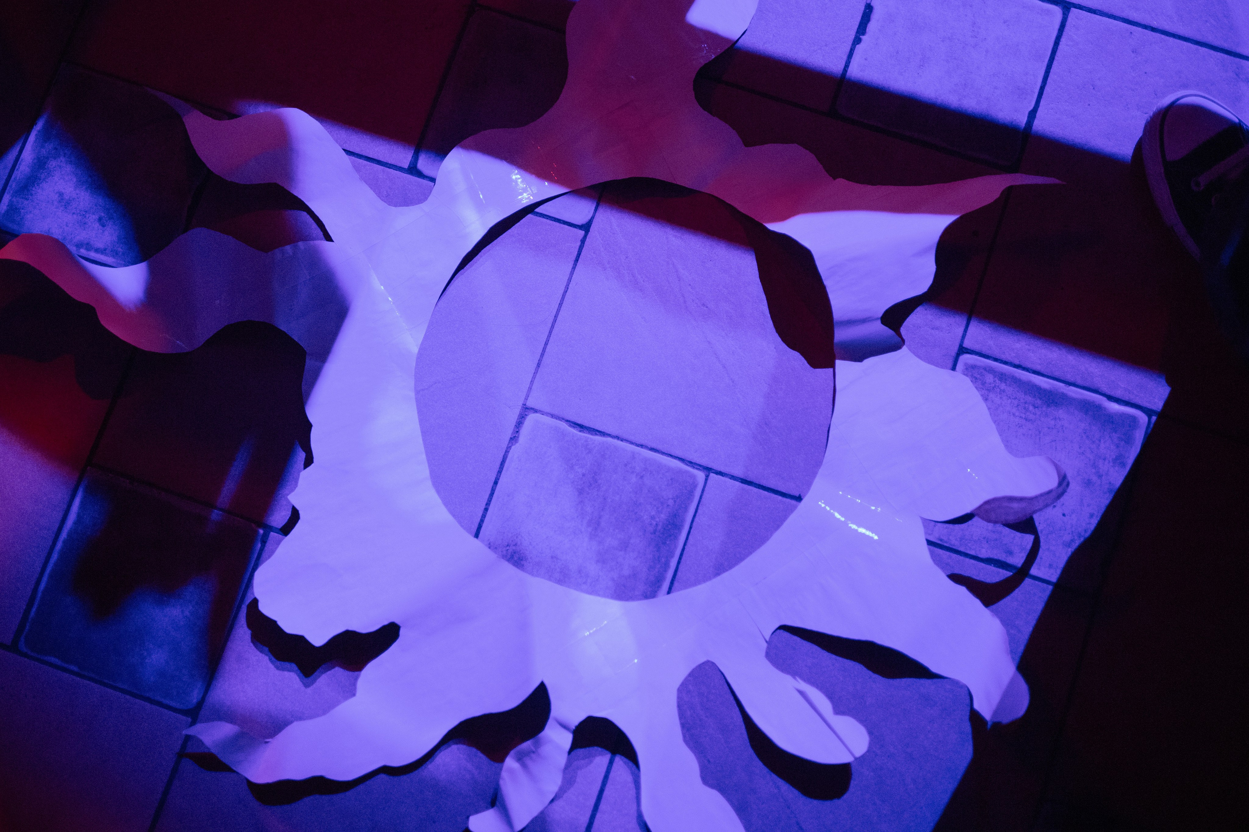 Модем (31.08.2024). Toxasnip Photo | Anton Maslenkin