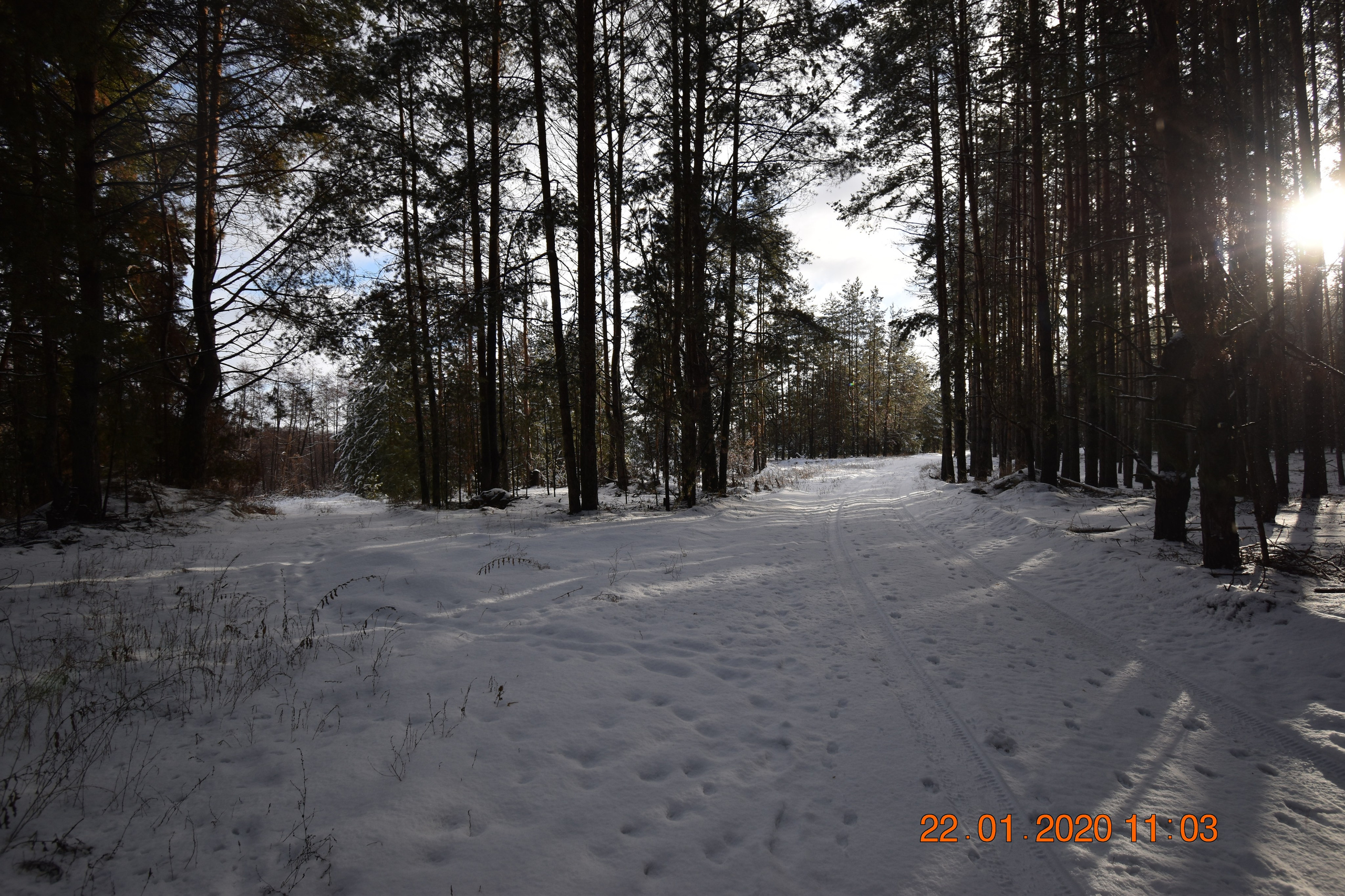Все что тронуло, миниатюры. Созерцатель. фотографирую что тронуло и впечатлило. самарская область