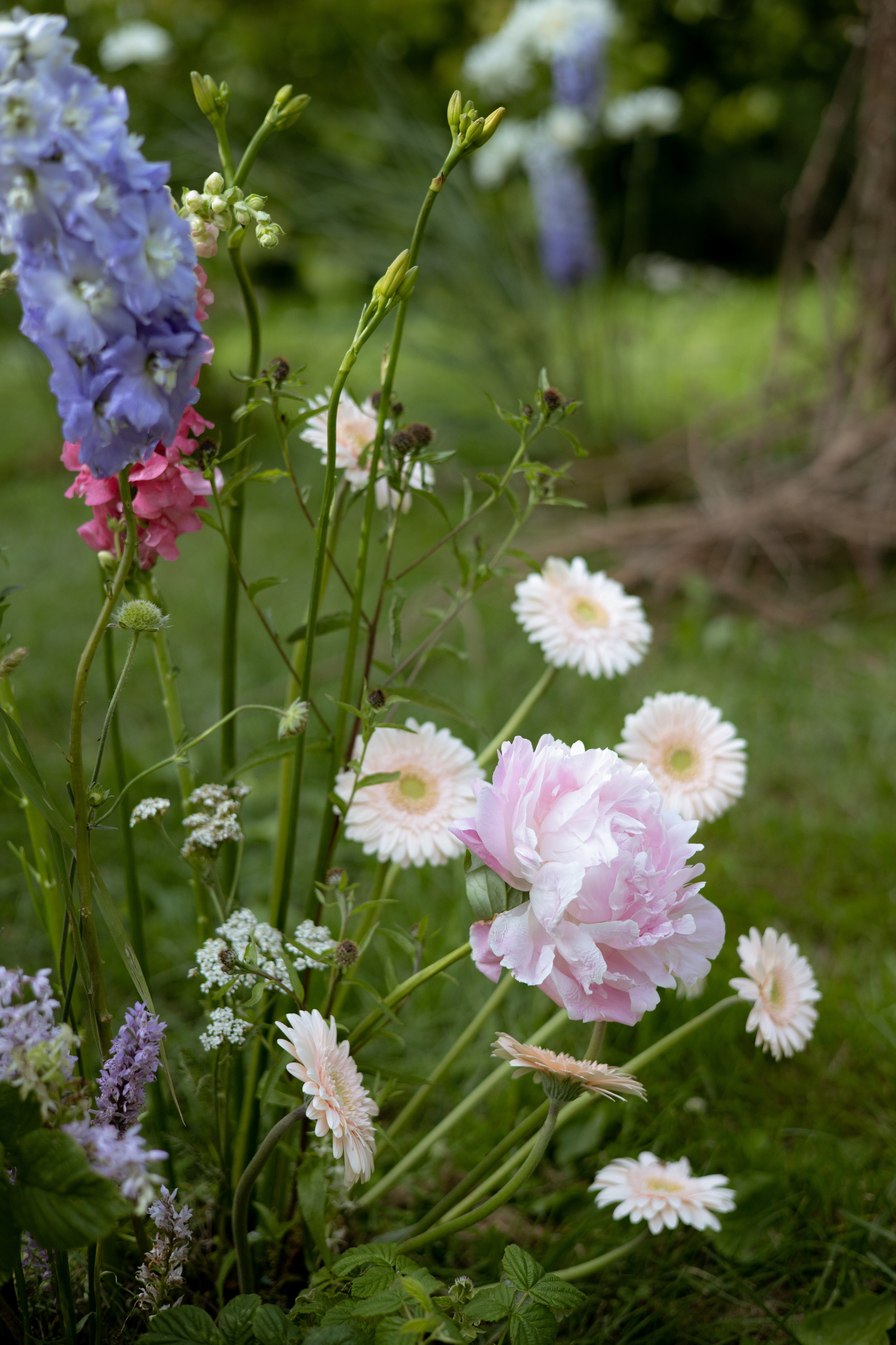 Павел & Полина. Оформление свадеб, декор свадеб Вера Маркова, Москва