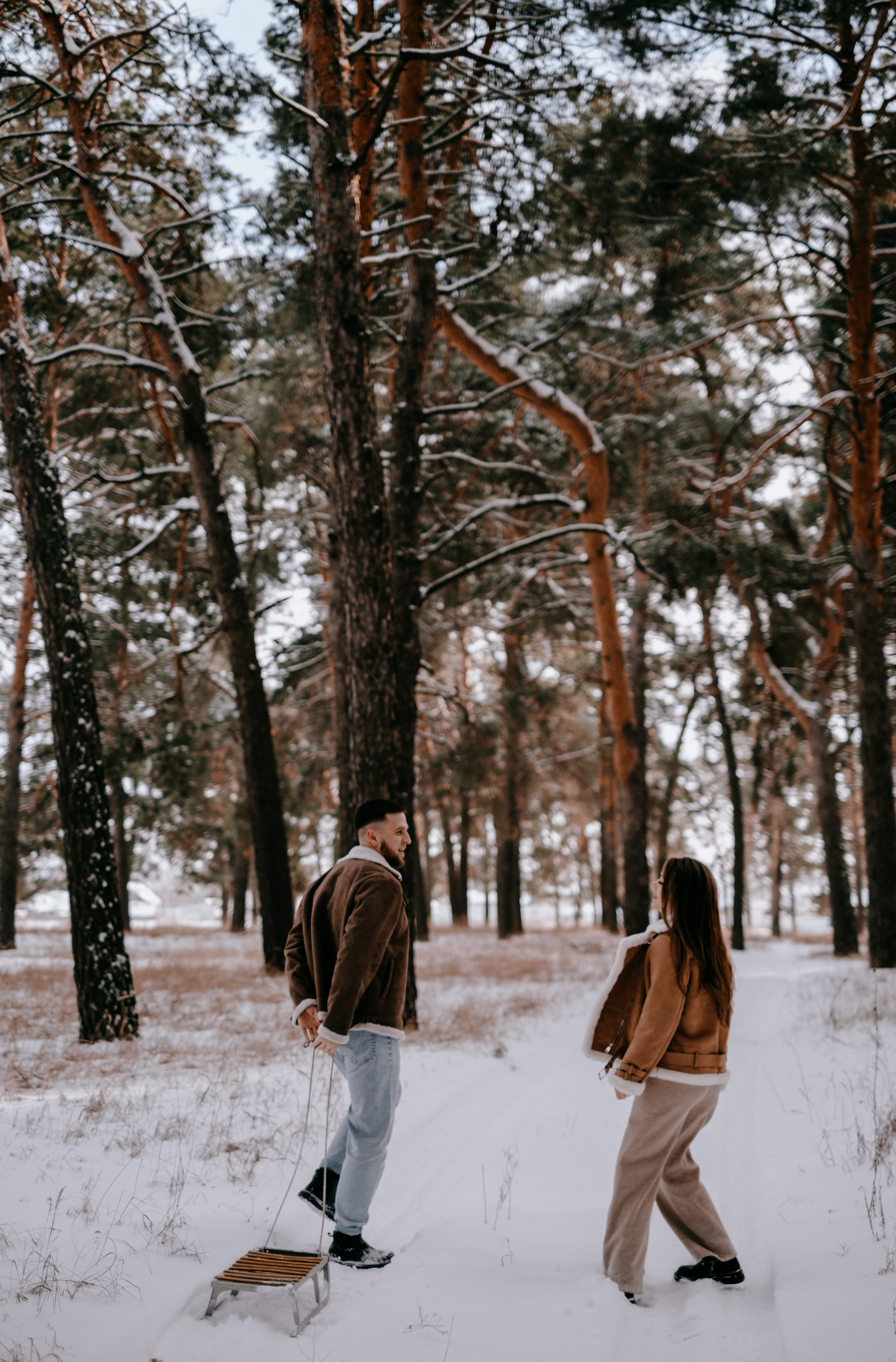 Звенит январская вьюга!. Photographer Victoria Slavnova