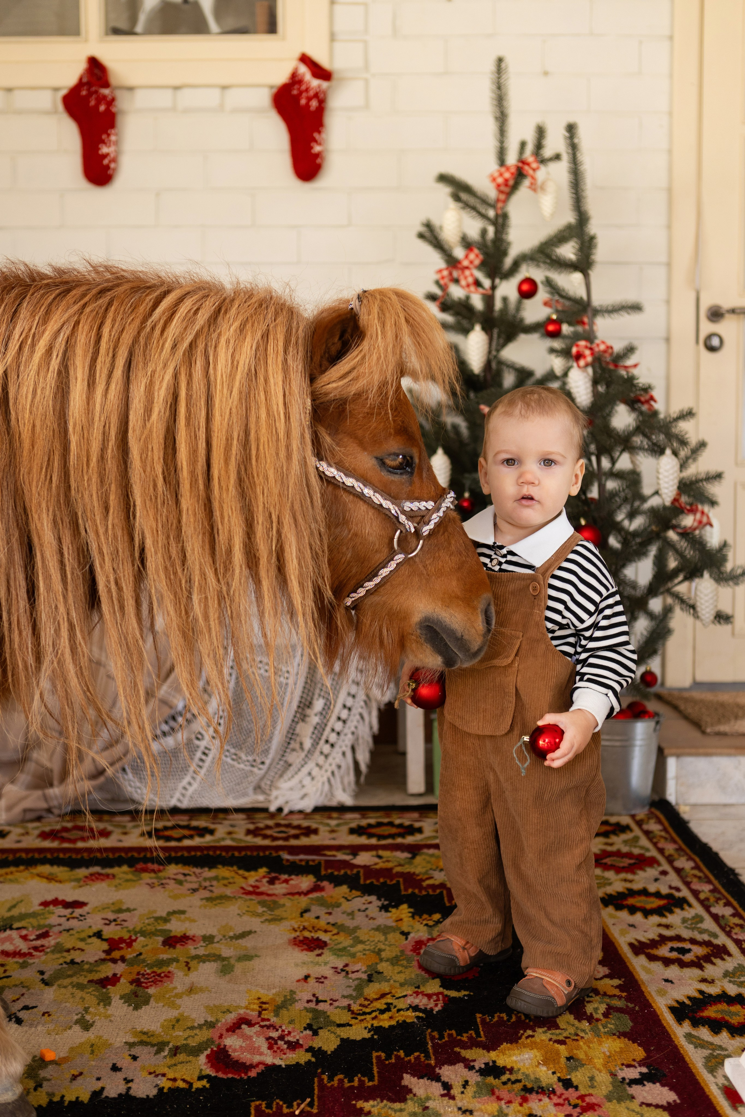 Символ 2026 года «Пони-Бонус». Фотостудия Ольги Сурухановой. Свадебный семейный и детский фотограф в Краснодаре Карина Федоровская