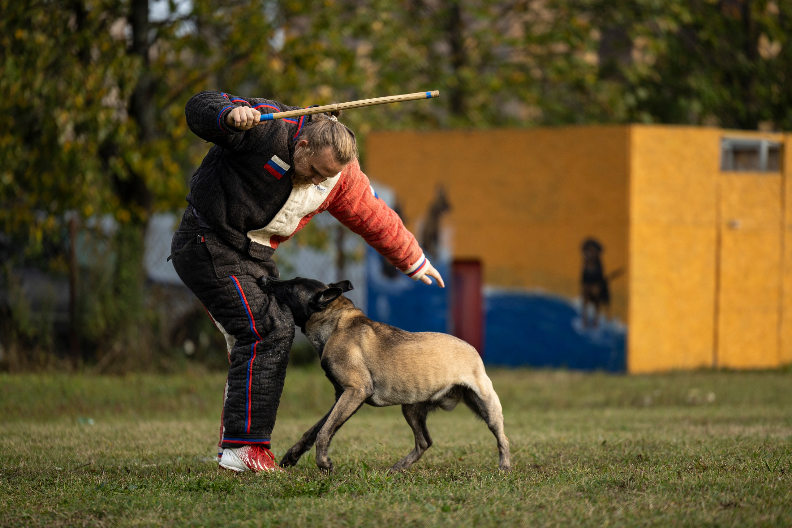 Испытания по Мондьорингу г. Пушкин. Фотограф-анималист Анна Маринич