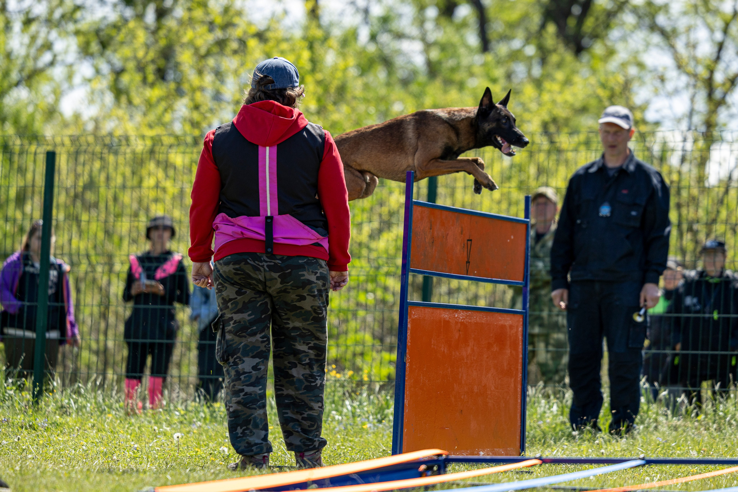 Испытания по мондьорингу в Нижнем Новгороде. Фотограф-анималист Анна Маринич