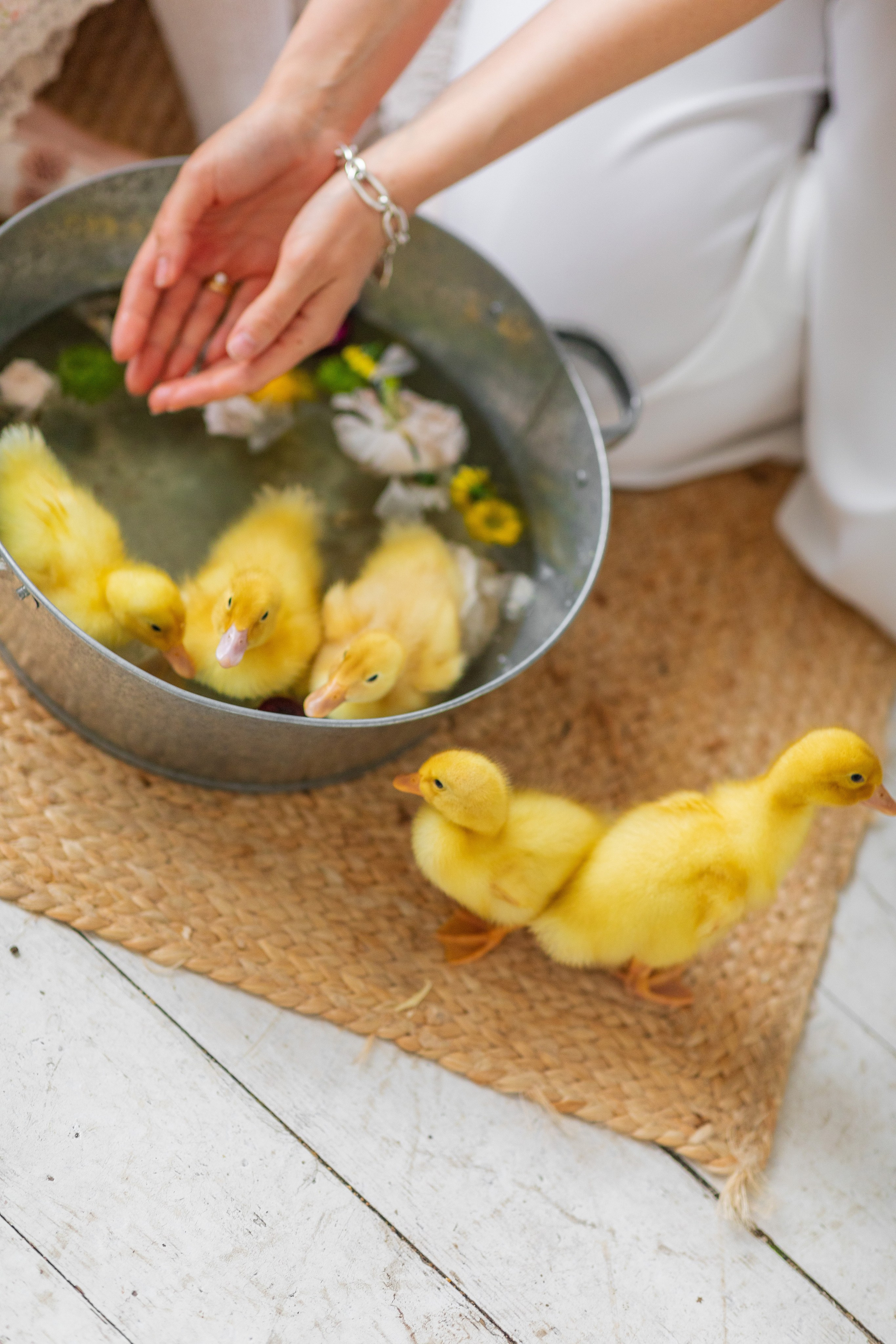 С животными. A.Novinskaya