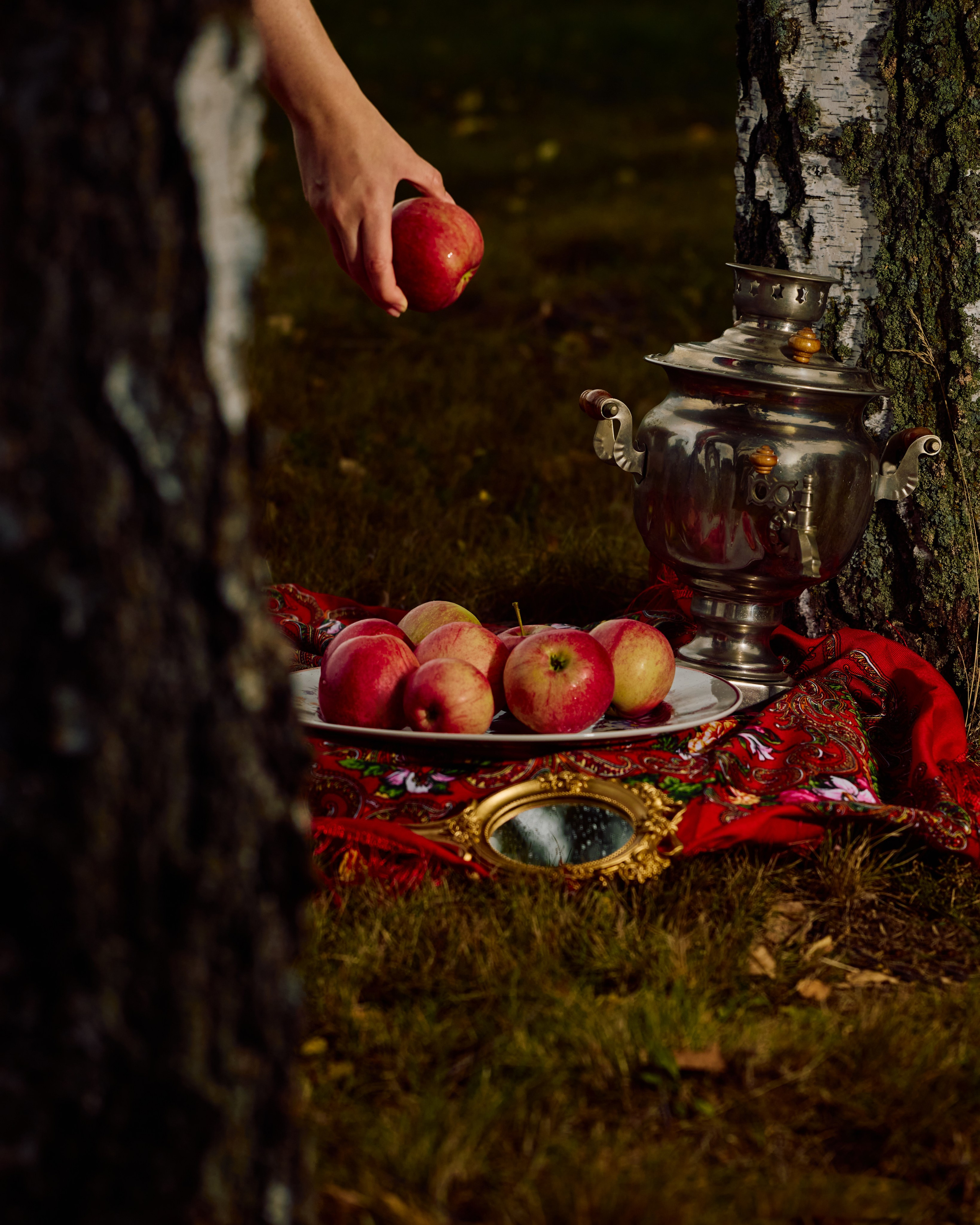 Собрано в саду. Святослав Лебедев | Рекламный фотограф — Коммерческая съемка, Арт-дирекшн, AI-интеграция