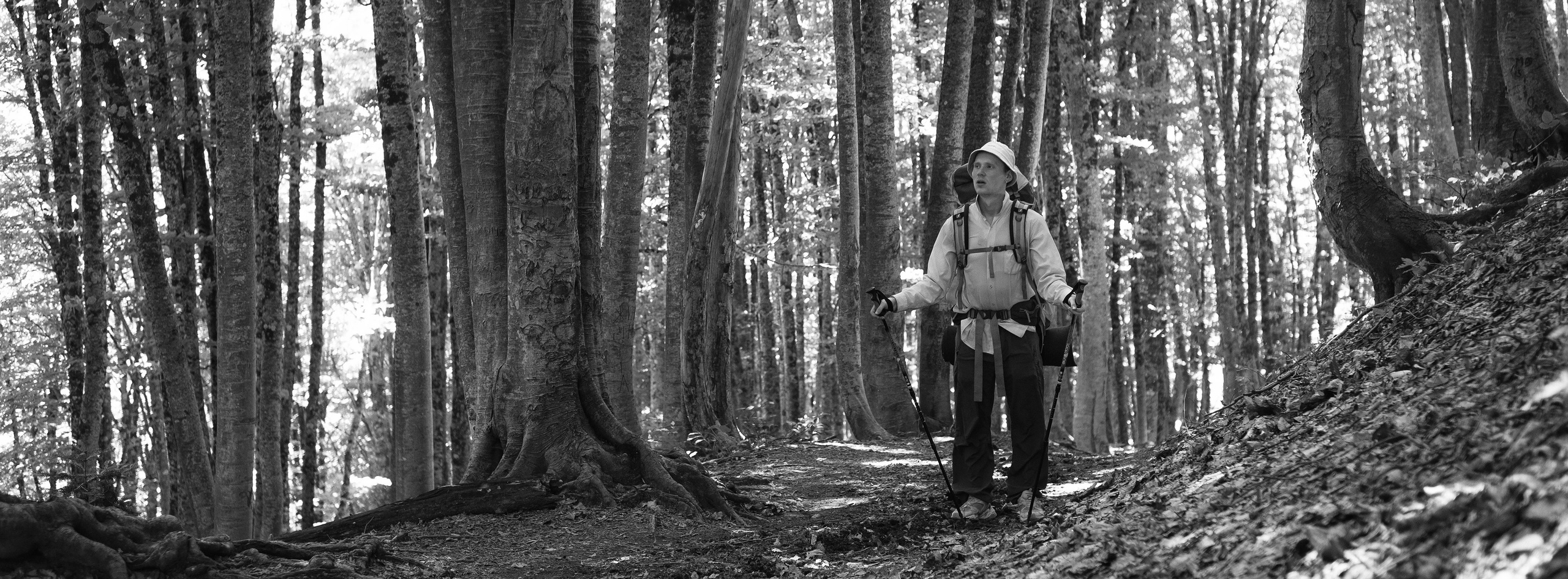 Тридцатка | август 2023