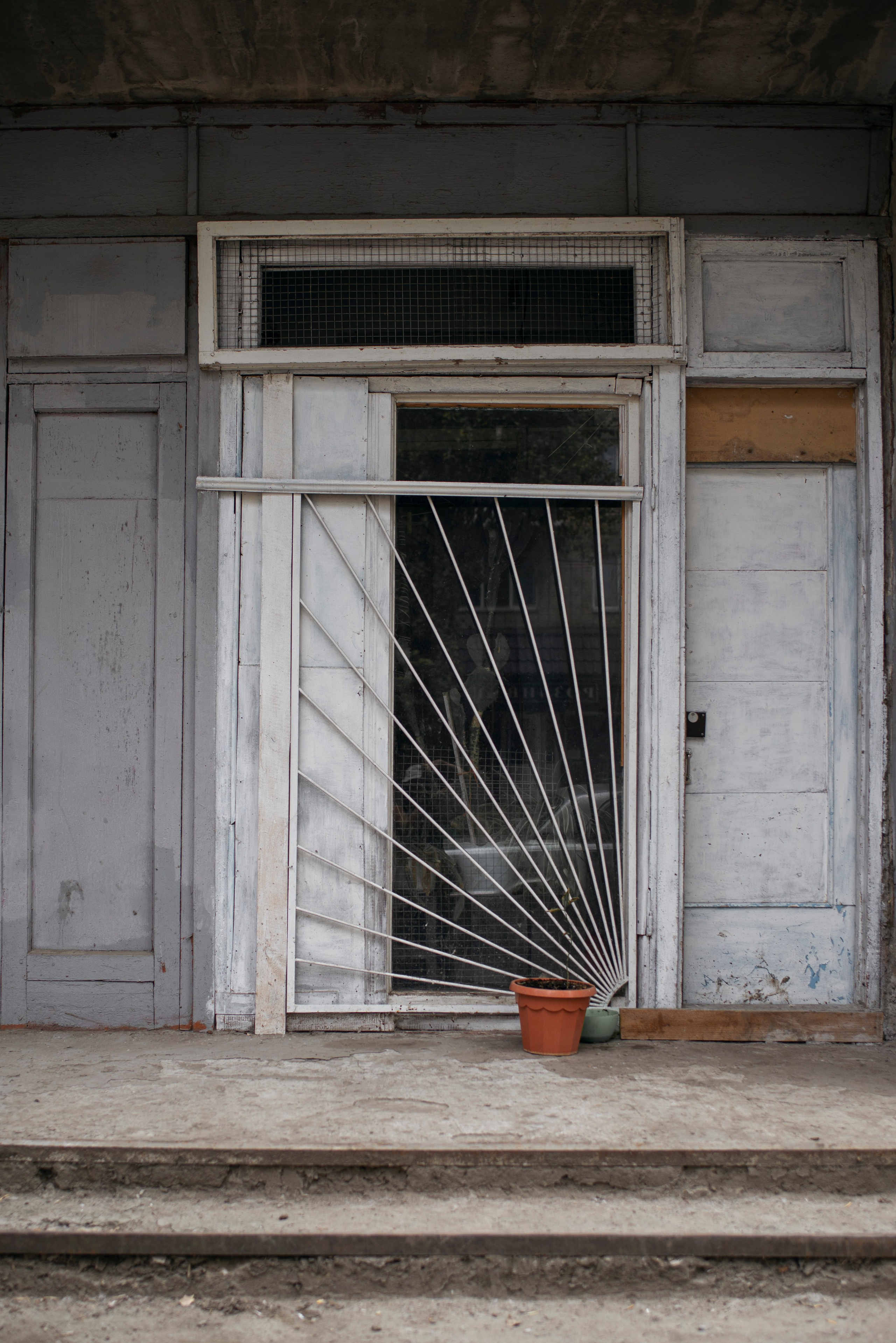 Разное неважное. Фотограф в Москве Алейникова Евгения