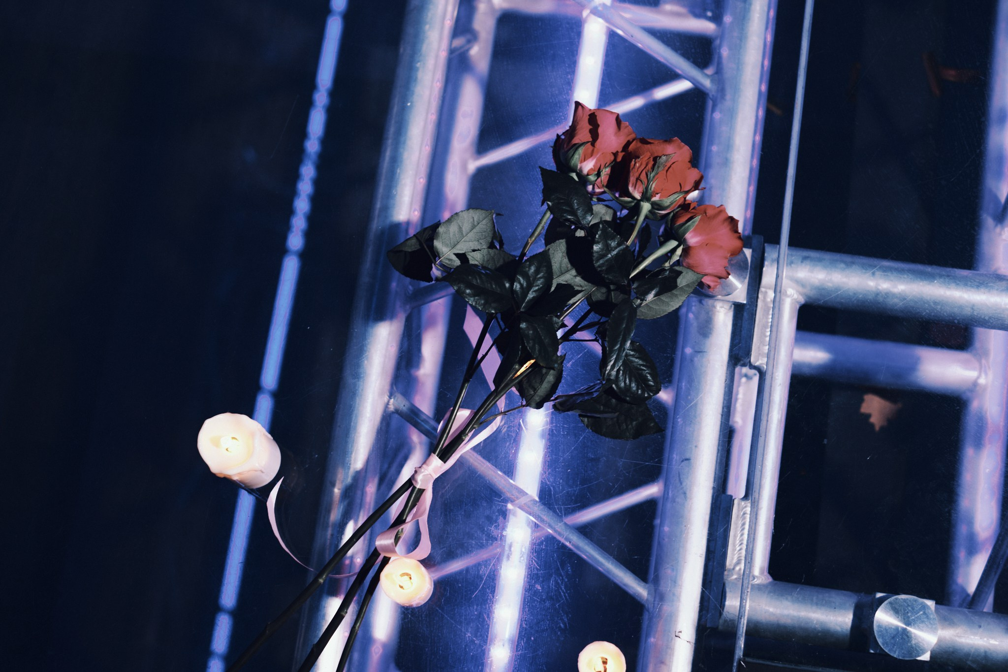 Концерт Malea. Фотограф Аннё| Москва