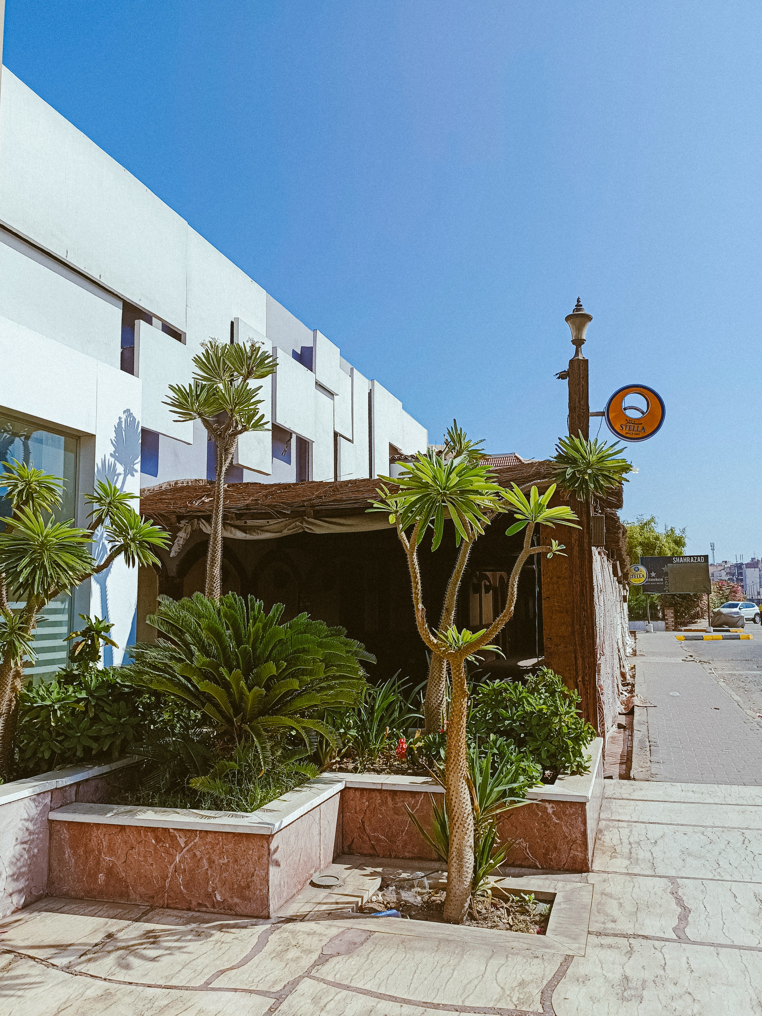 Мобильная. Jorgis — фотограф в Хургаде / обучение фотографии