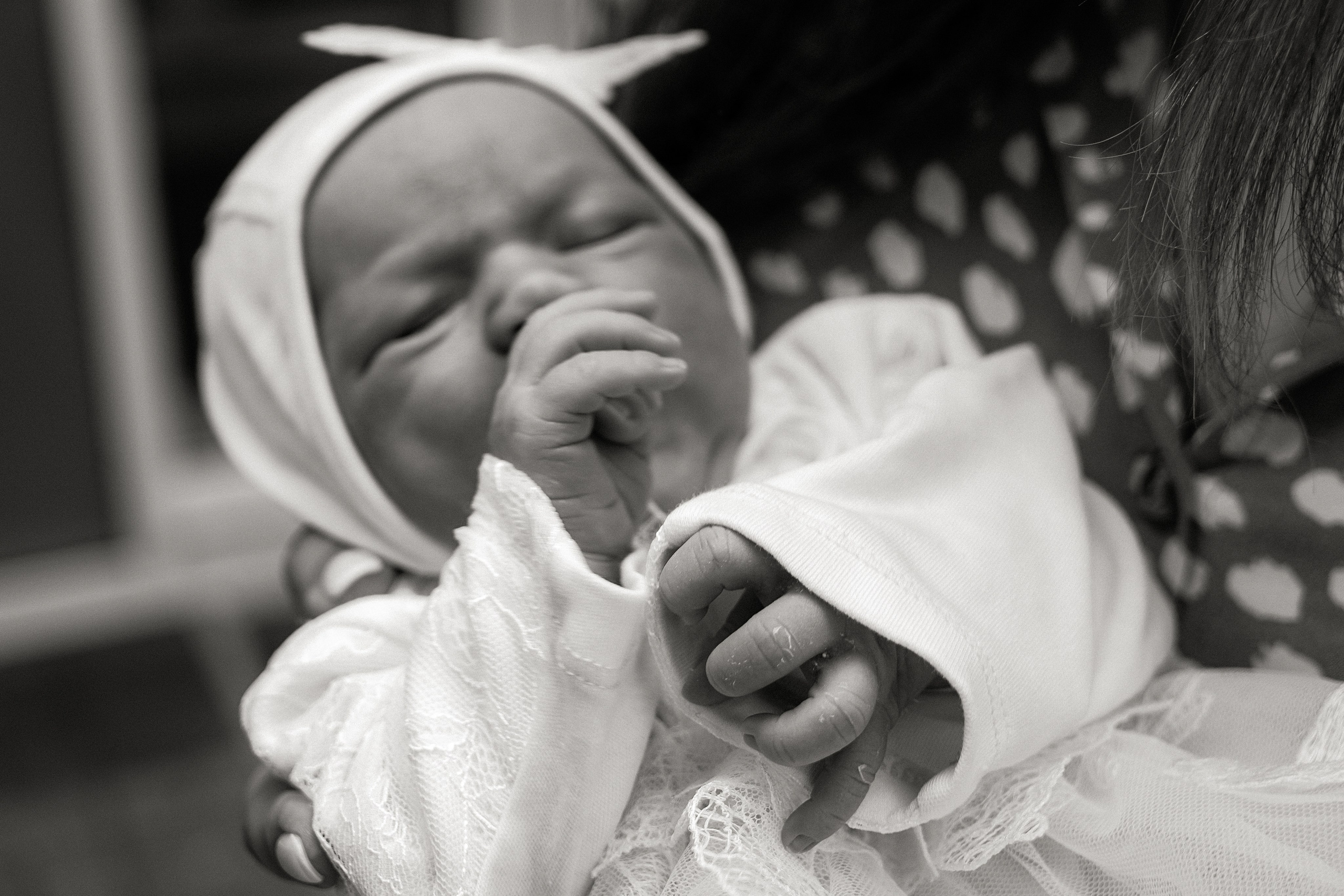 Выписка. Https://malovafoto.ru