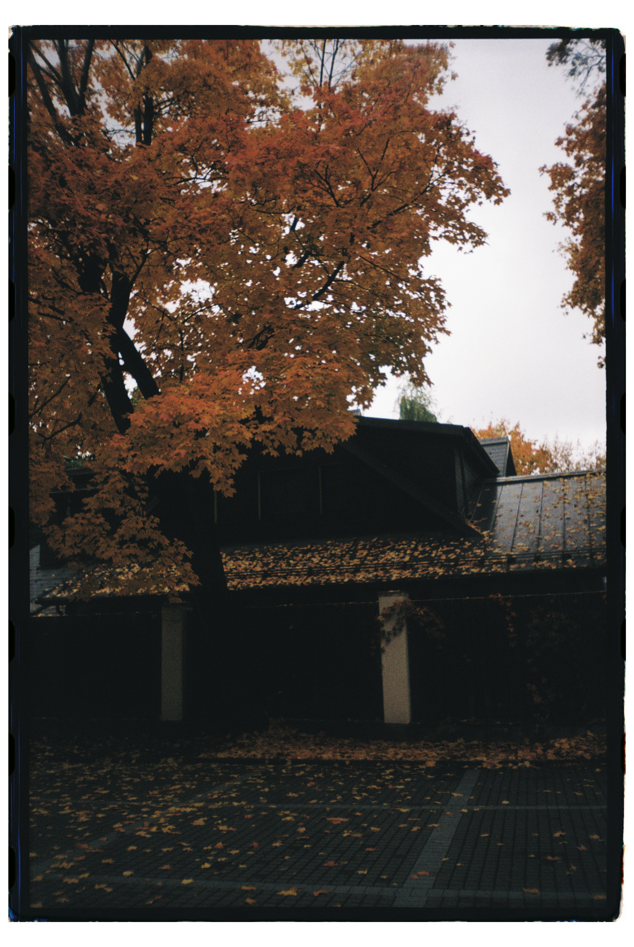 Film dairy. ㅤ