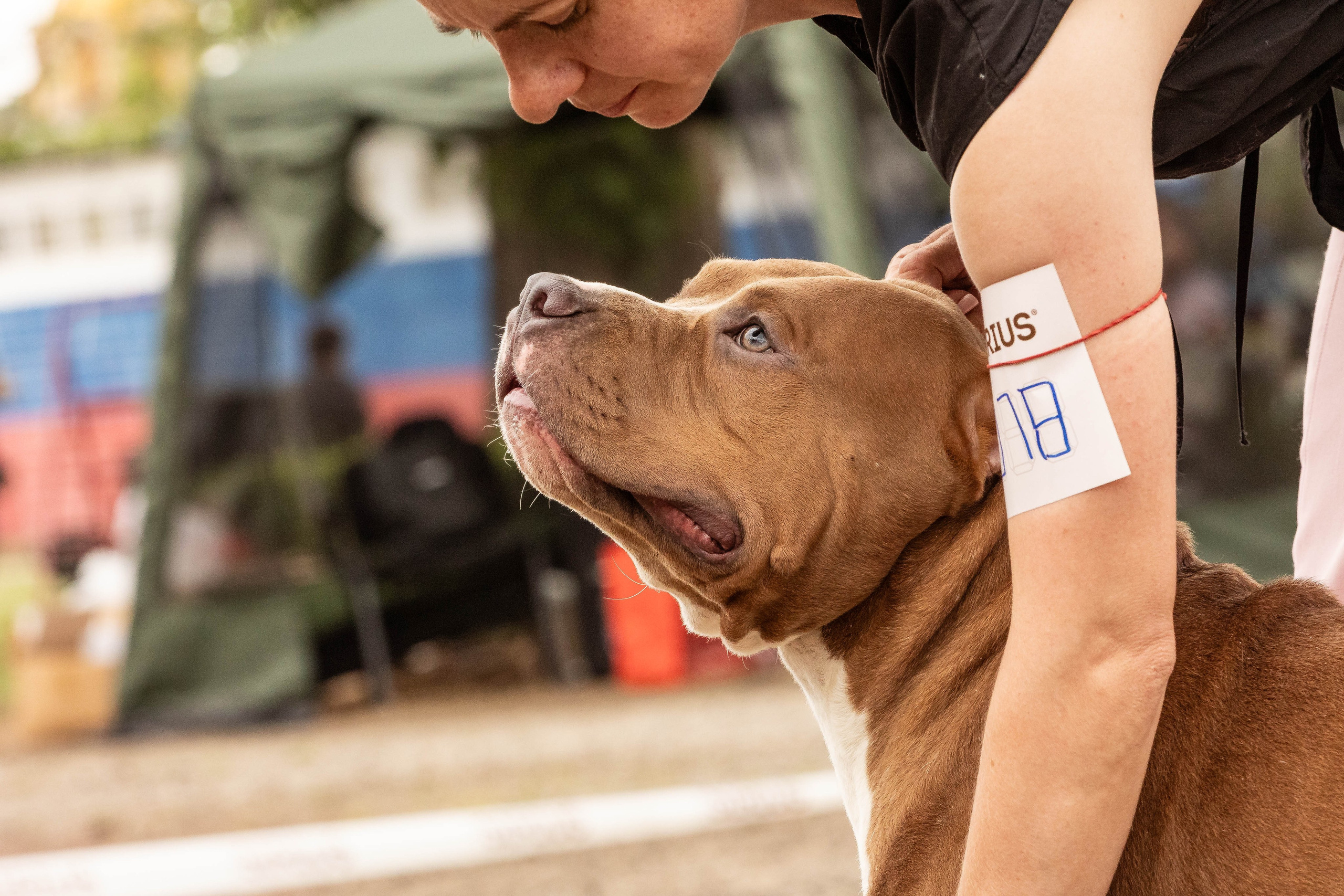 Репортаж (фото с выставок). Фотограф-АниМалист Анна Абрамова